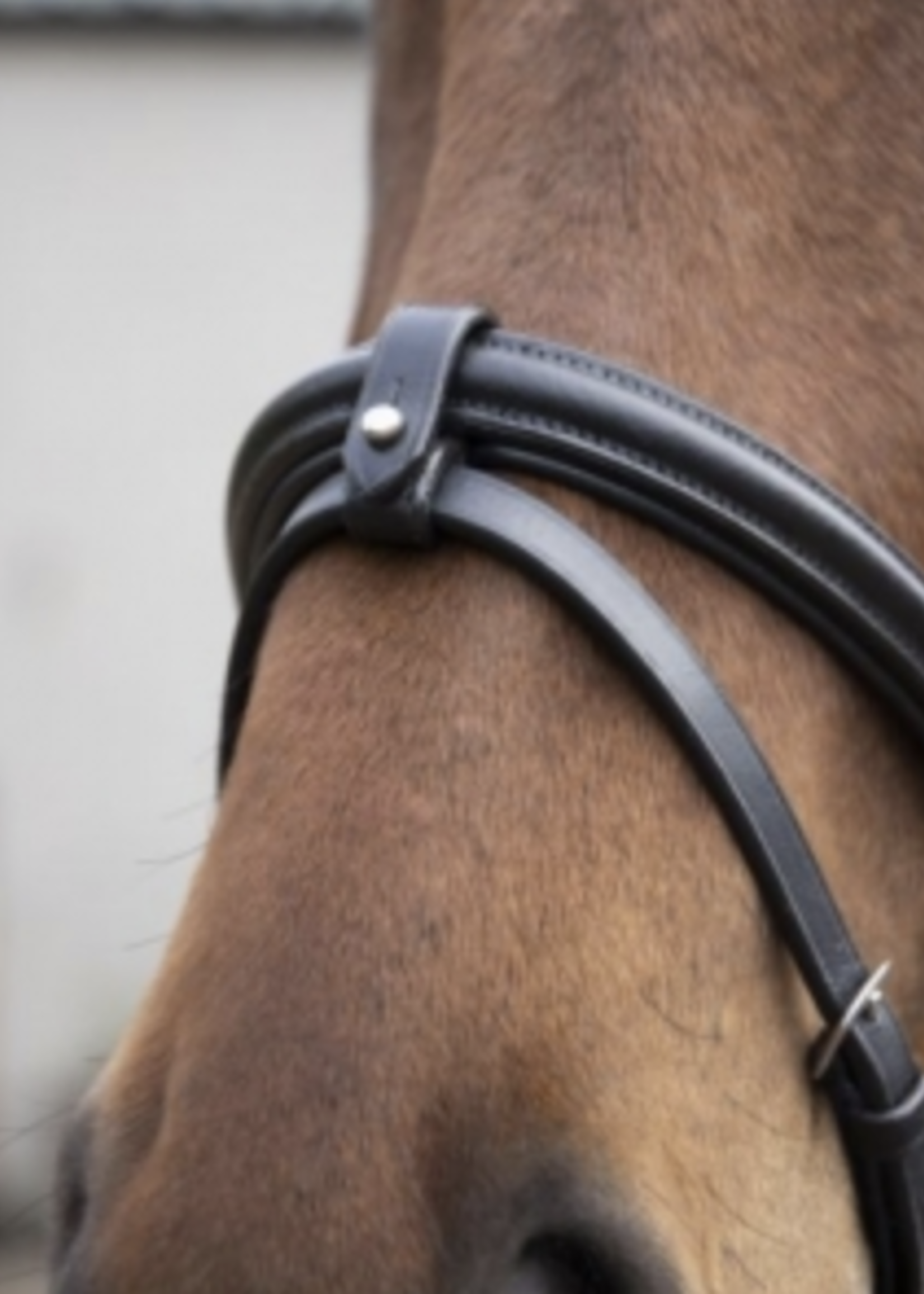 Eco Rider Eco Rider Classic Comfort Flash Bridle