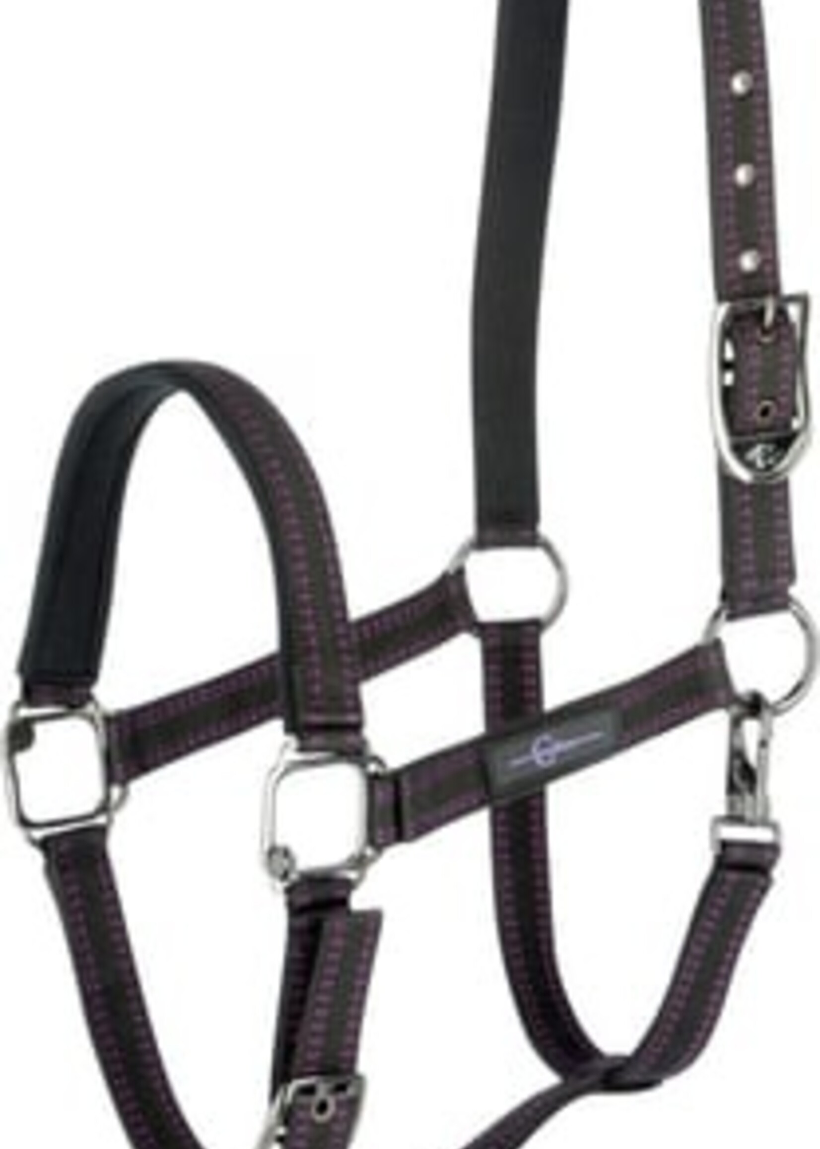 Goleygo Goleygo Halter