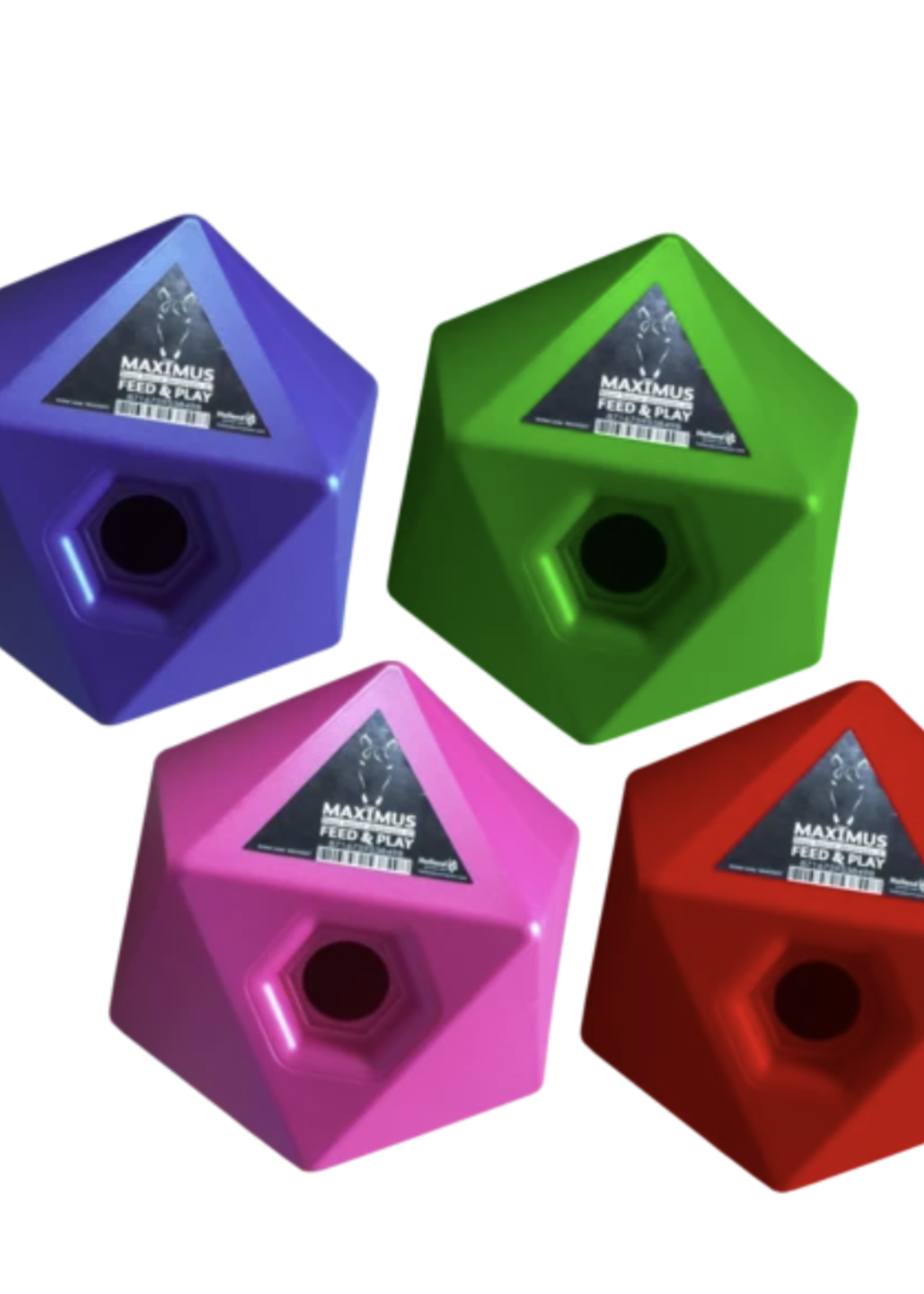 Holland Animal Care Holland Animal Care Maximus Feed & Play