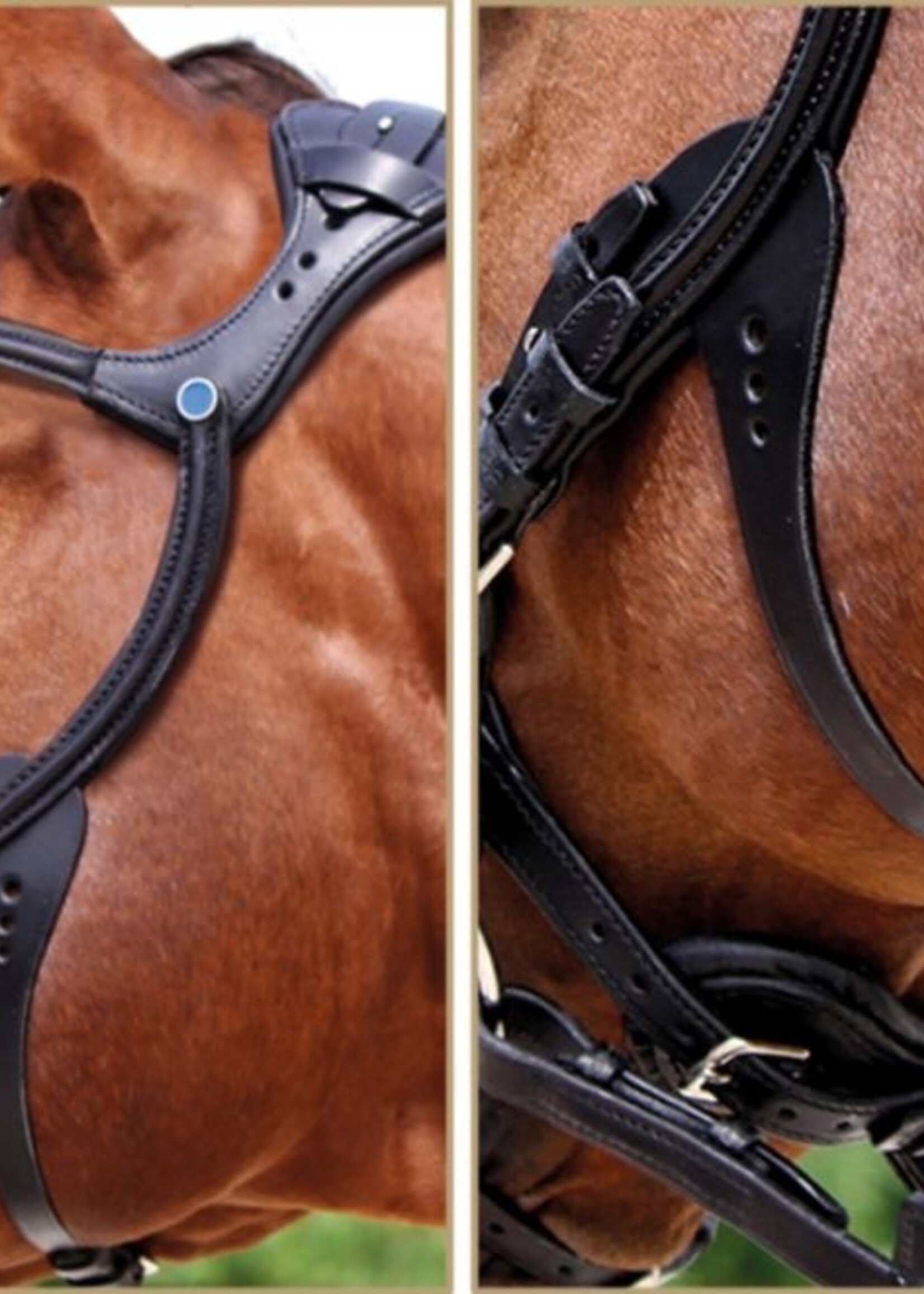 Stubben Stubben Snaffle Bridle 2500 Freedom Combined Noseband