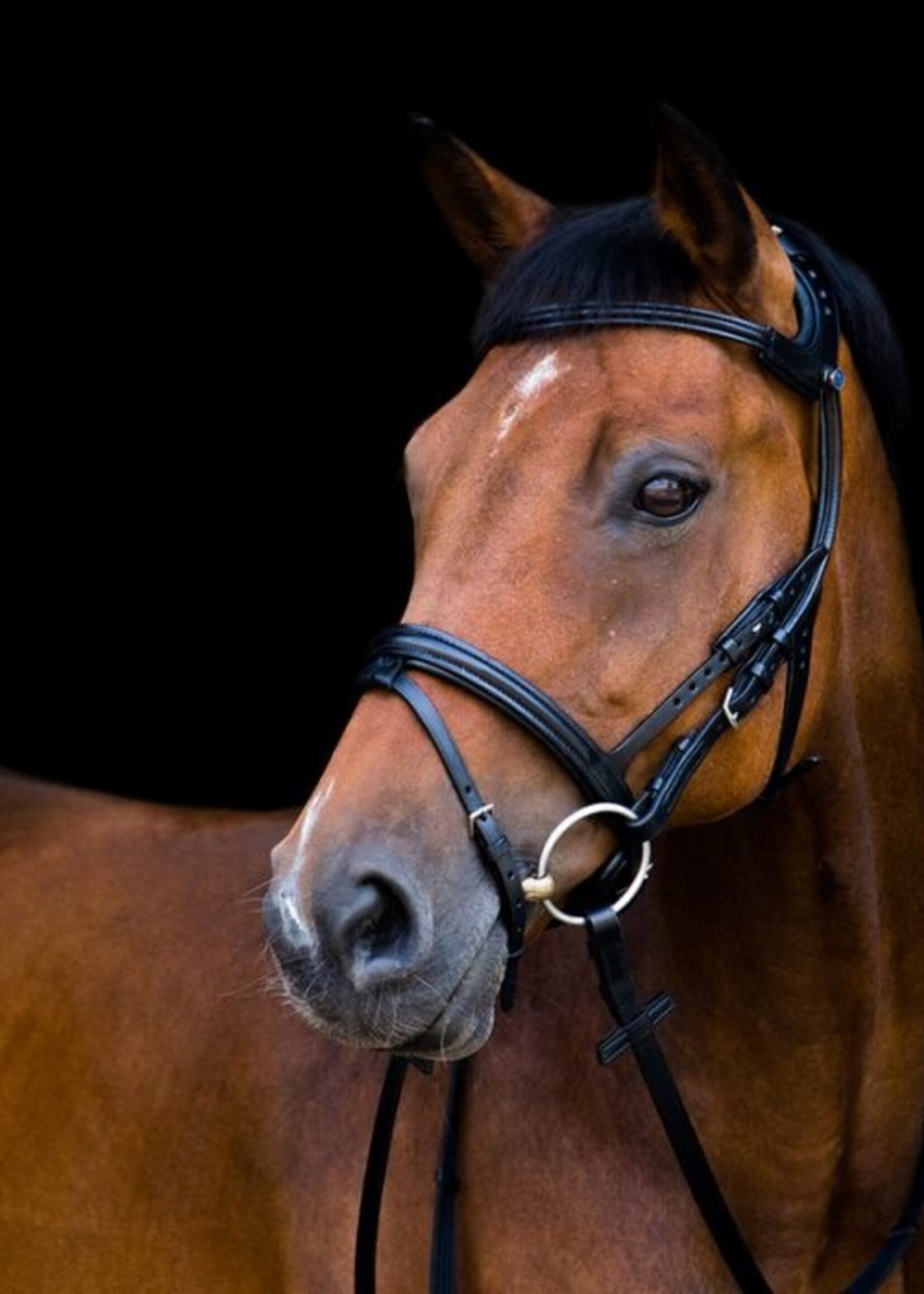 Stubben Stubben Snaffle Bridle 2500 Freedom Combined Noseband