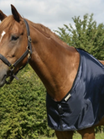 Bossy's Bibs Bossy's Bib