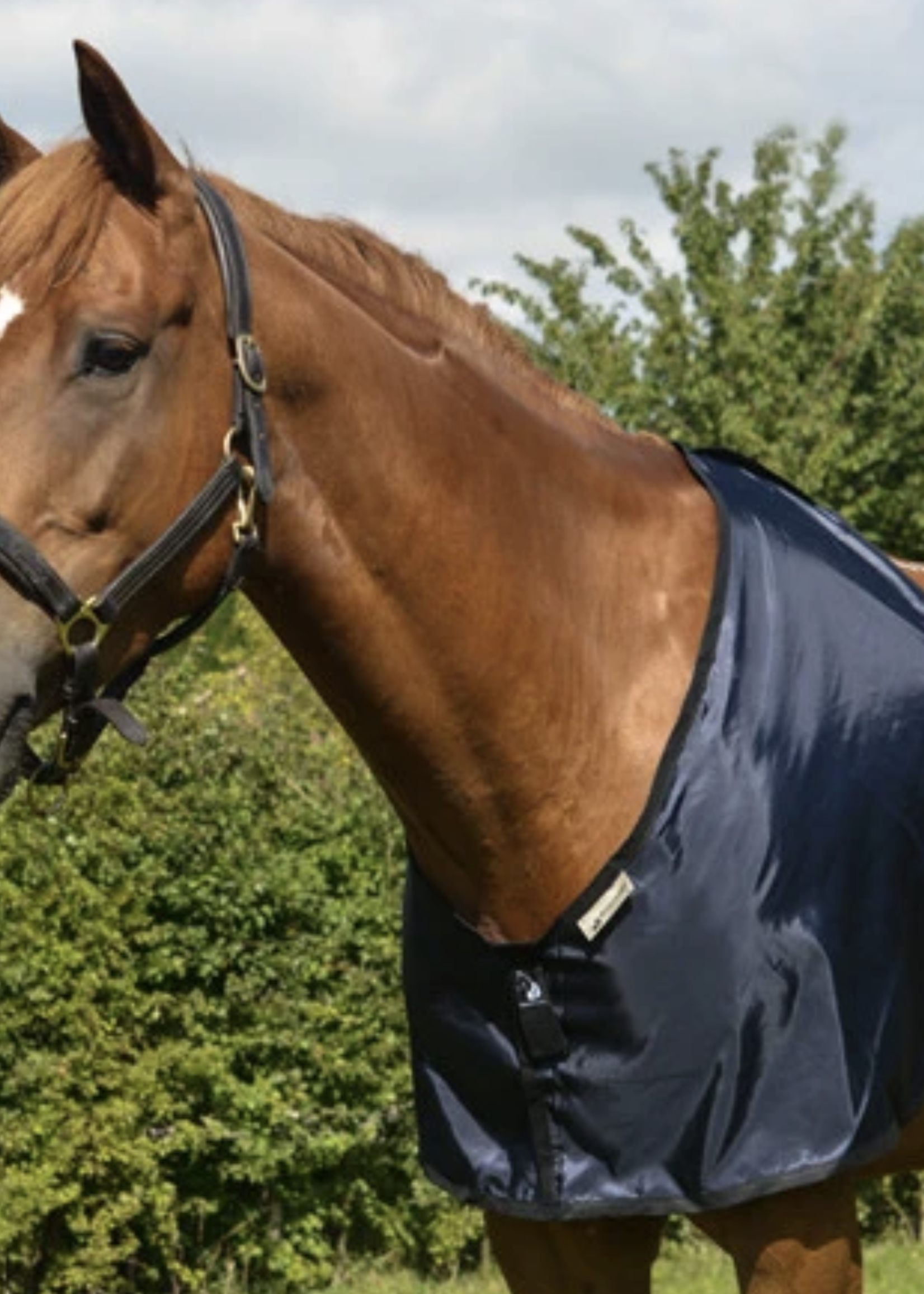 Bossy's Bibs Bossy's Bib