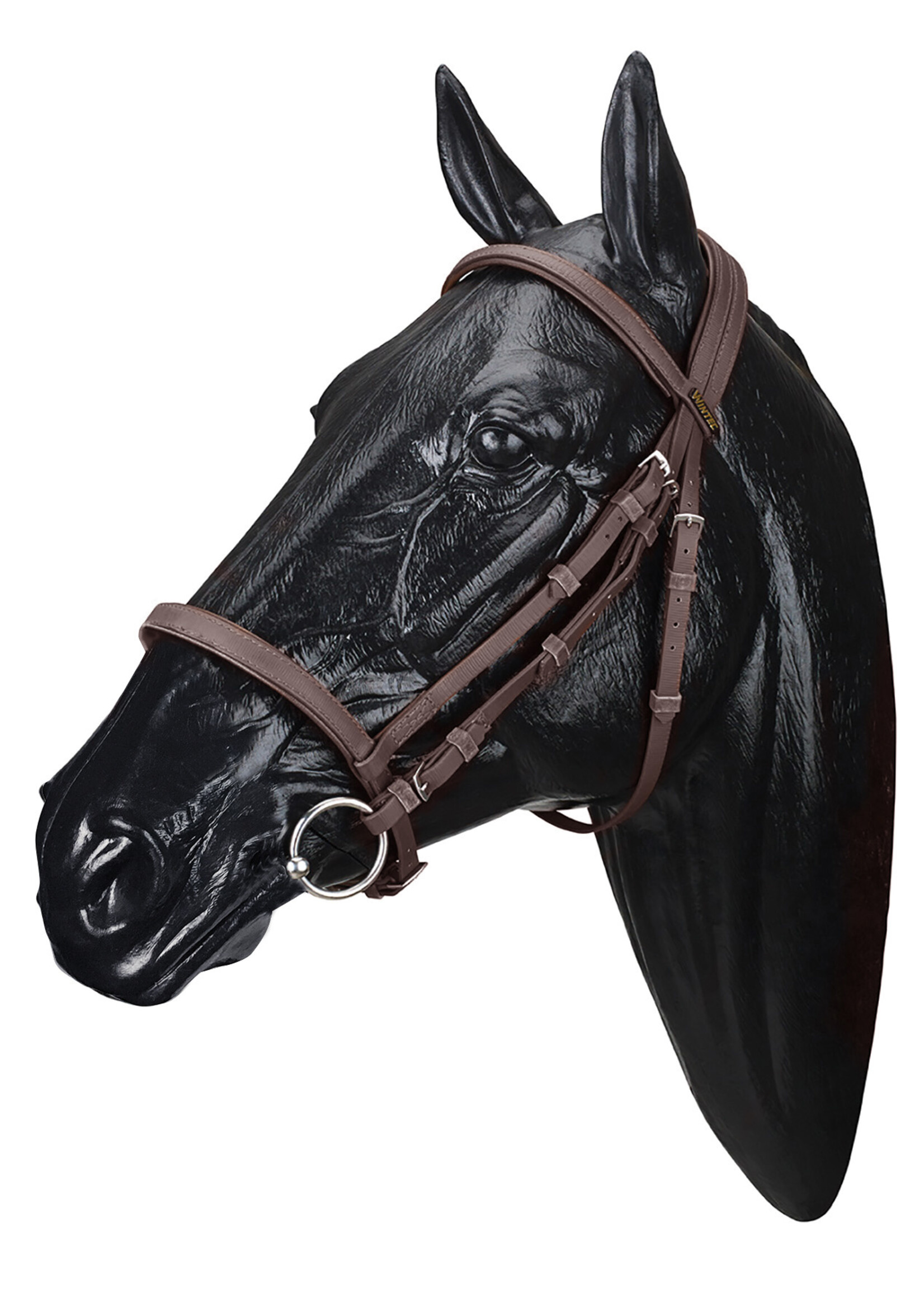 Wintec Wintec Bridle