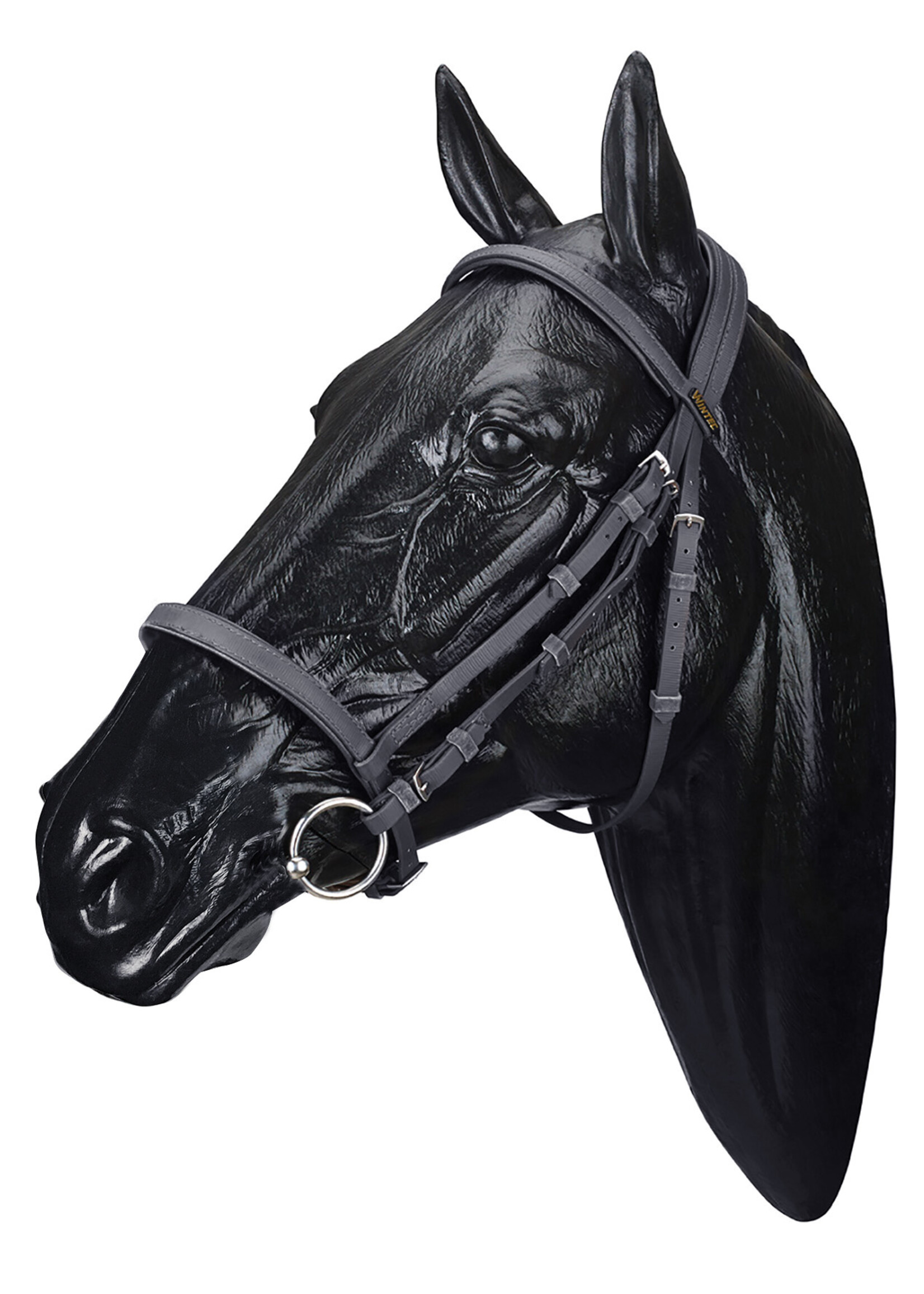 Wintec Wintec Bridle