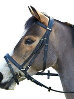 Wintec Wintec Bridle with Flash