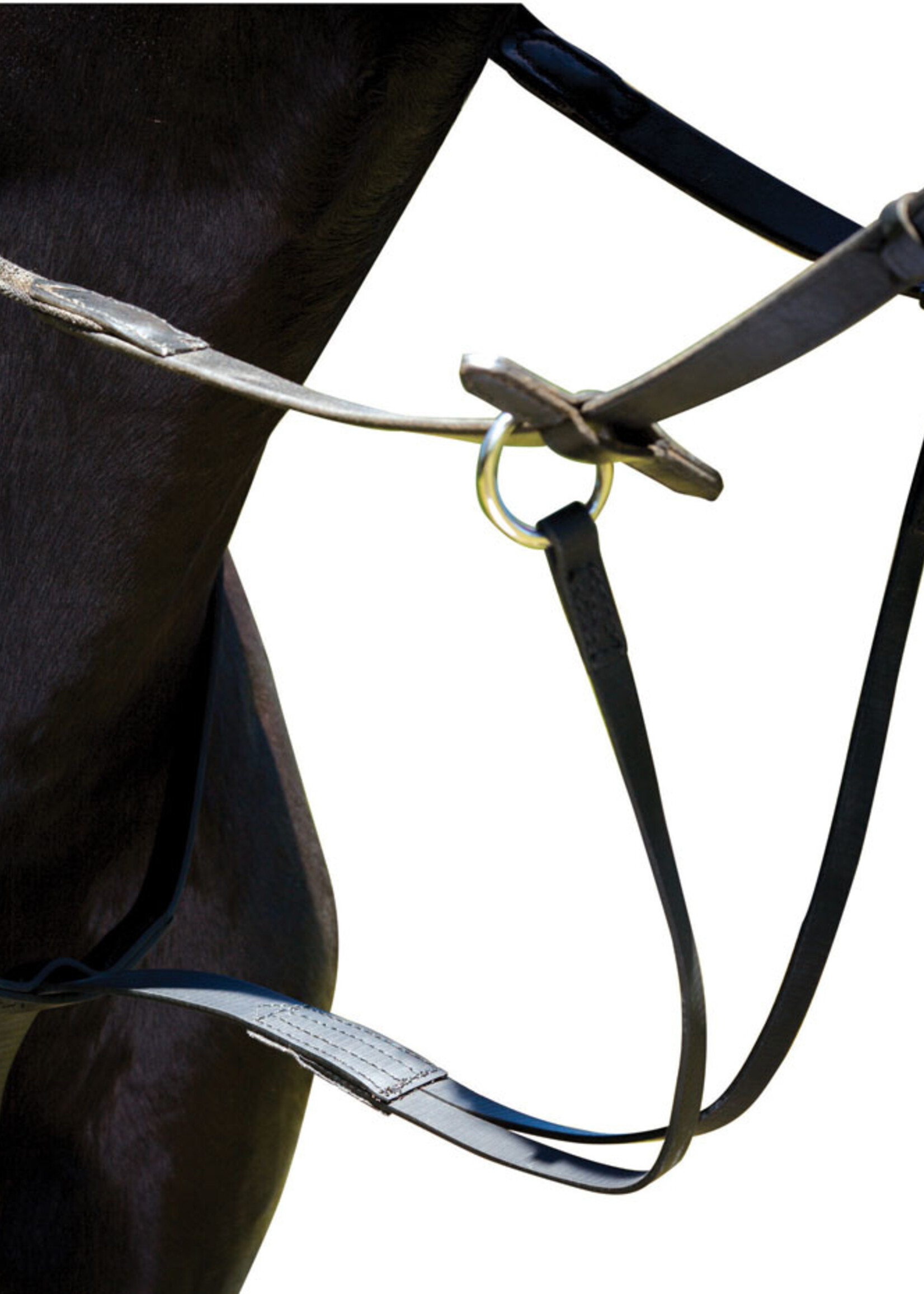 Wintec Wintec Running Martingale