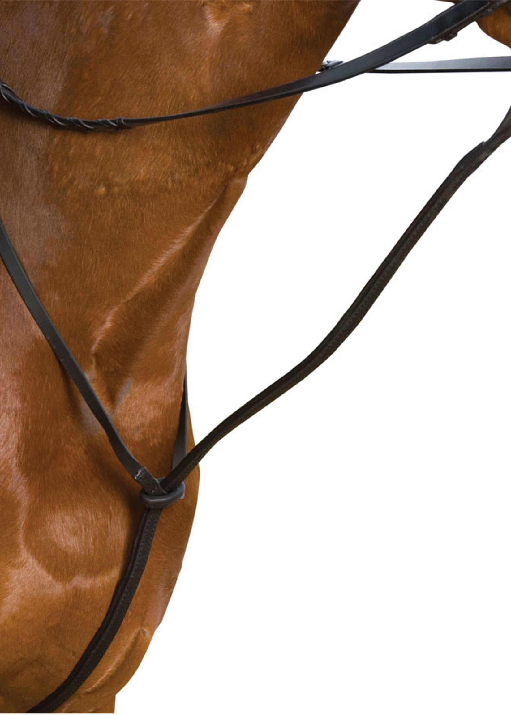 Wintec Wintec Standing Martingale