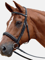 Albion Albion Super Flash Bridle With Calf Wrapped Reins