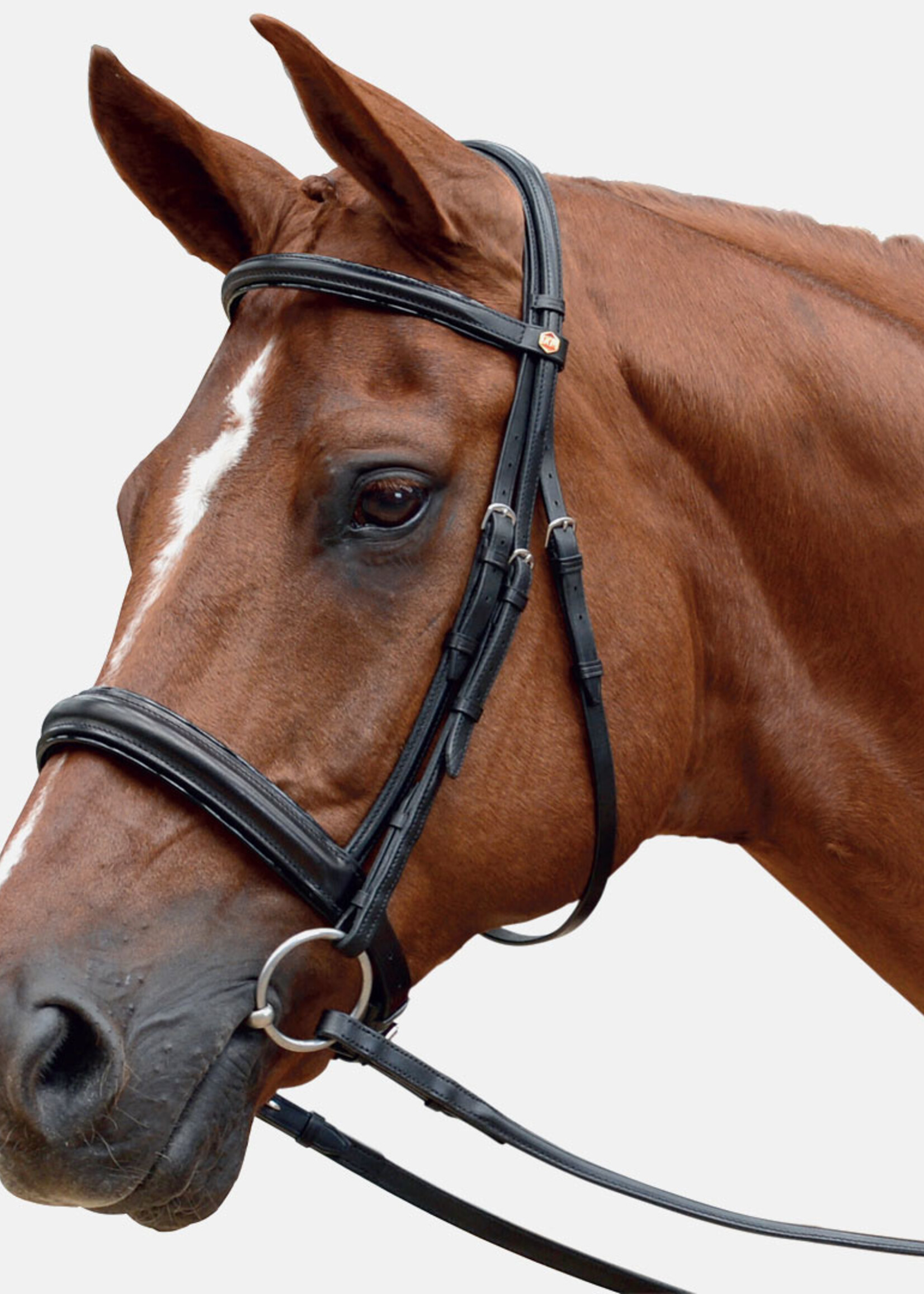 Albion Albion Super Flash Bridle With Calf Wrapped Reins