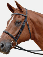 Albion Albion Competition Browband Padded Straight, Loop Size 27, Width 16