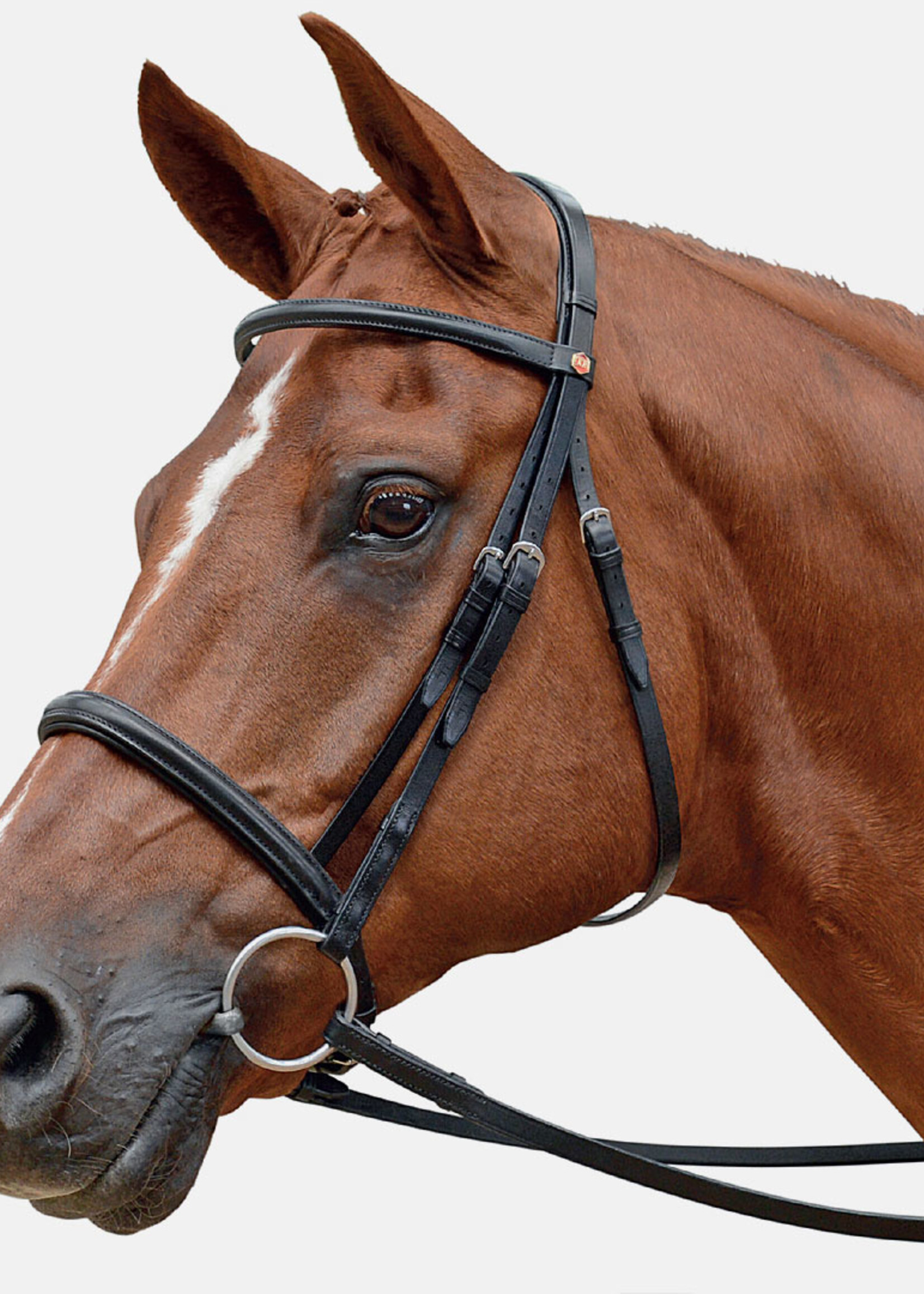 Albion Albion Competition Browband Padded Straight, Loop Size 27, Width 16