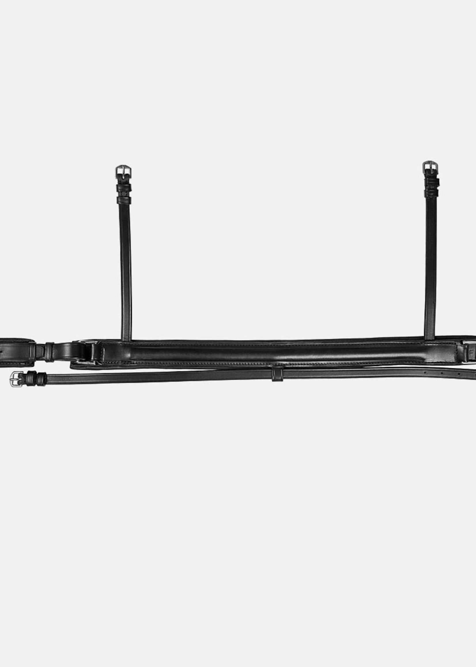 Albion Albion Crank Flash Noseband