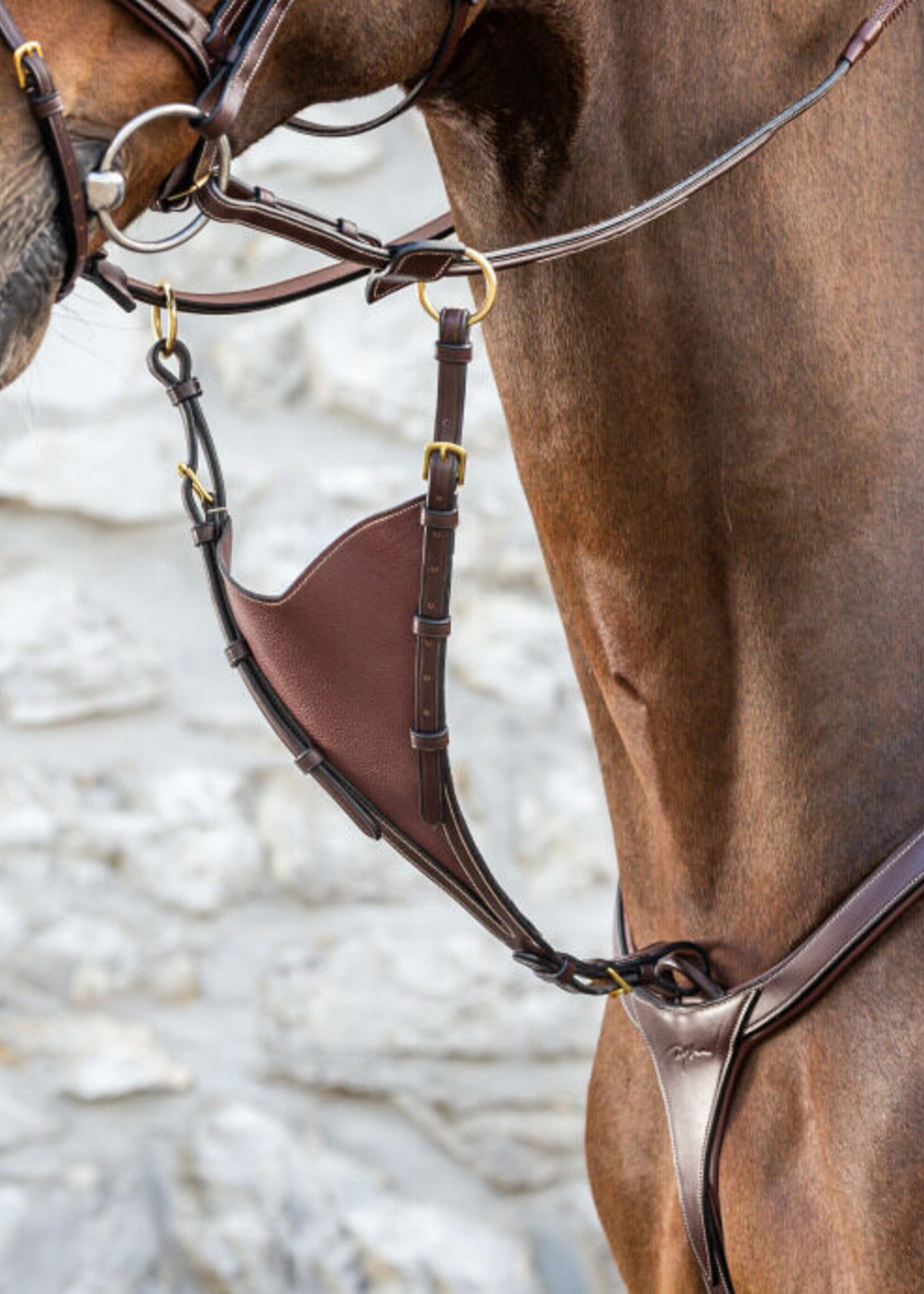 Dy'on Dyon Collection Bib Martingale Attachment