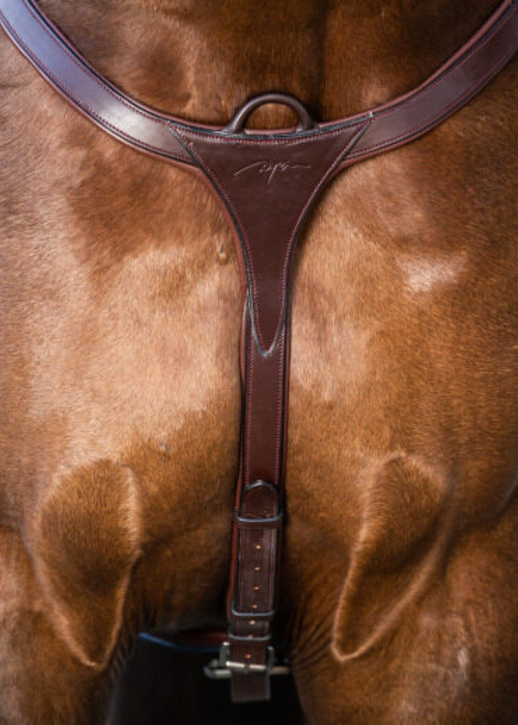 Dy'on Dyon New English Collection Anatomic Breastplate with Long Bridge