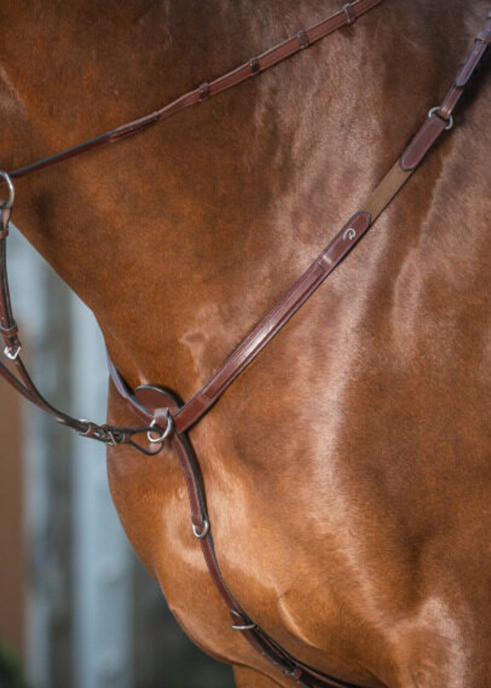 Dy'on Dyon New English Collection Running Martingale Attachment