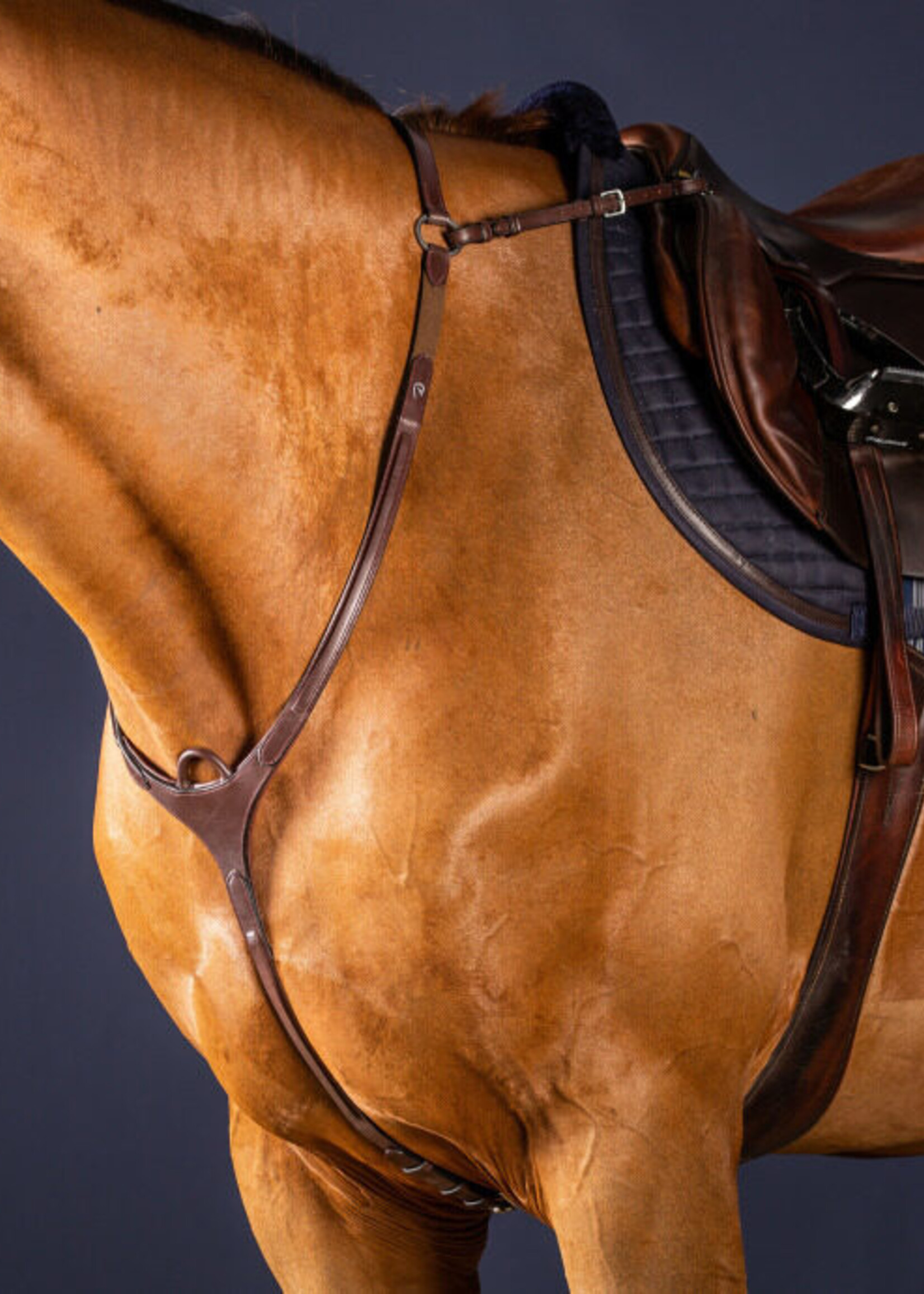 Dy'on Dyon New English Collection Breastplate with Bridge