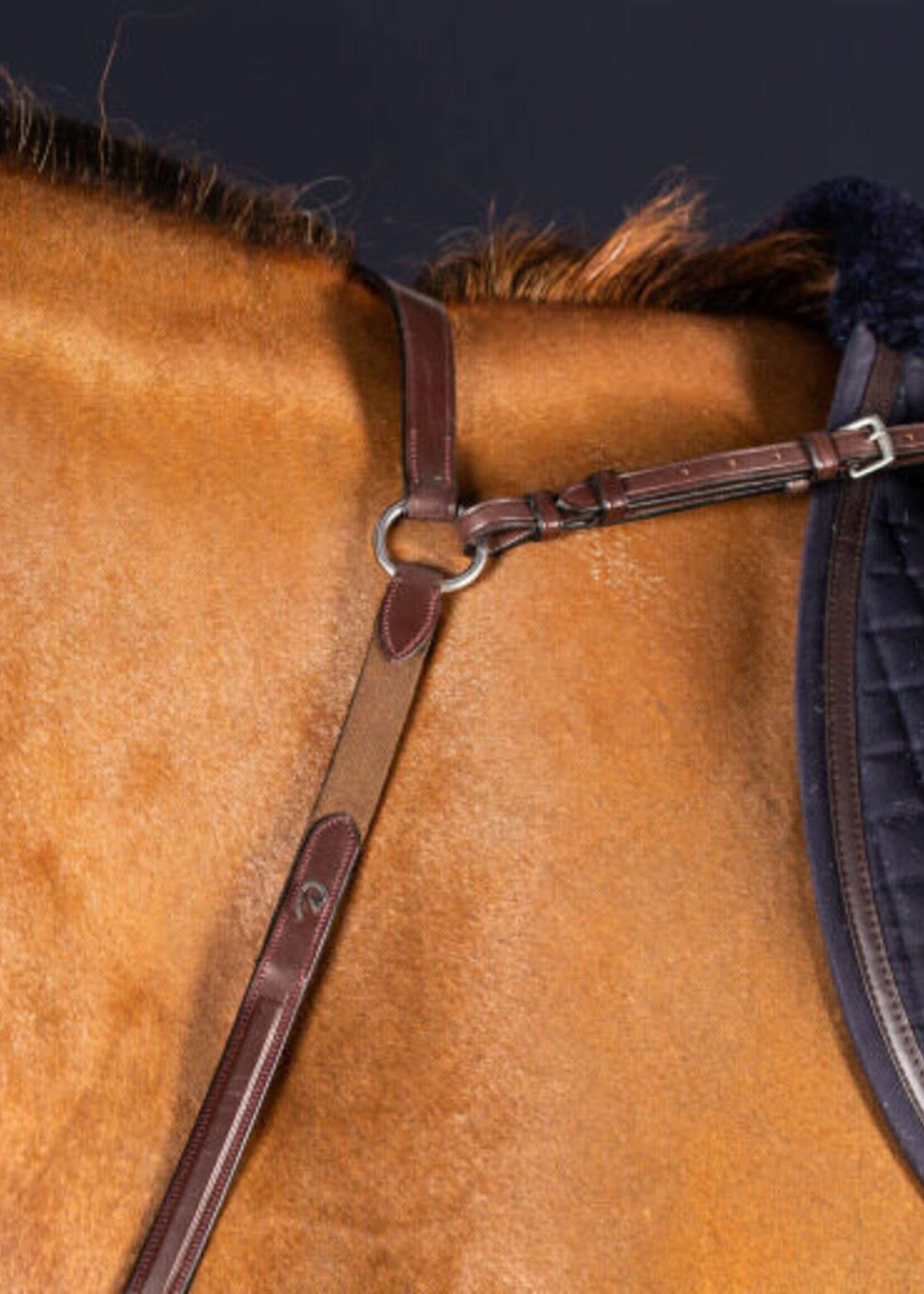 Dy'on Dyon New English Collection Breastplate with Bridge