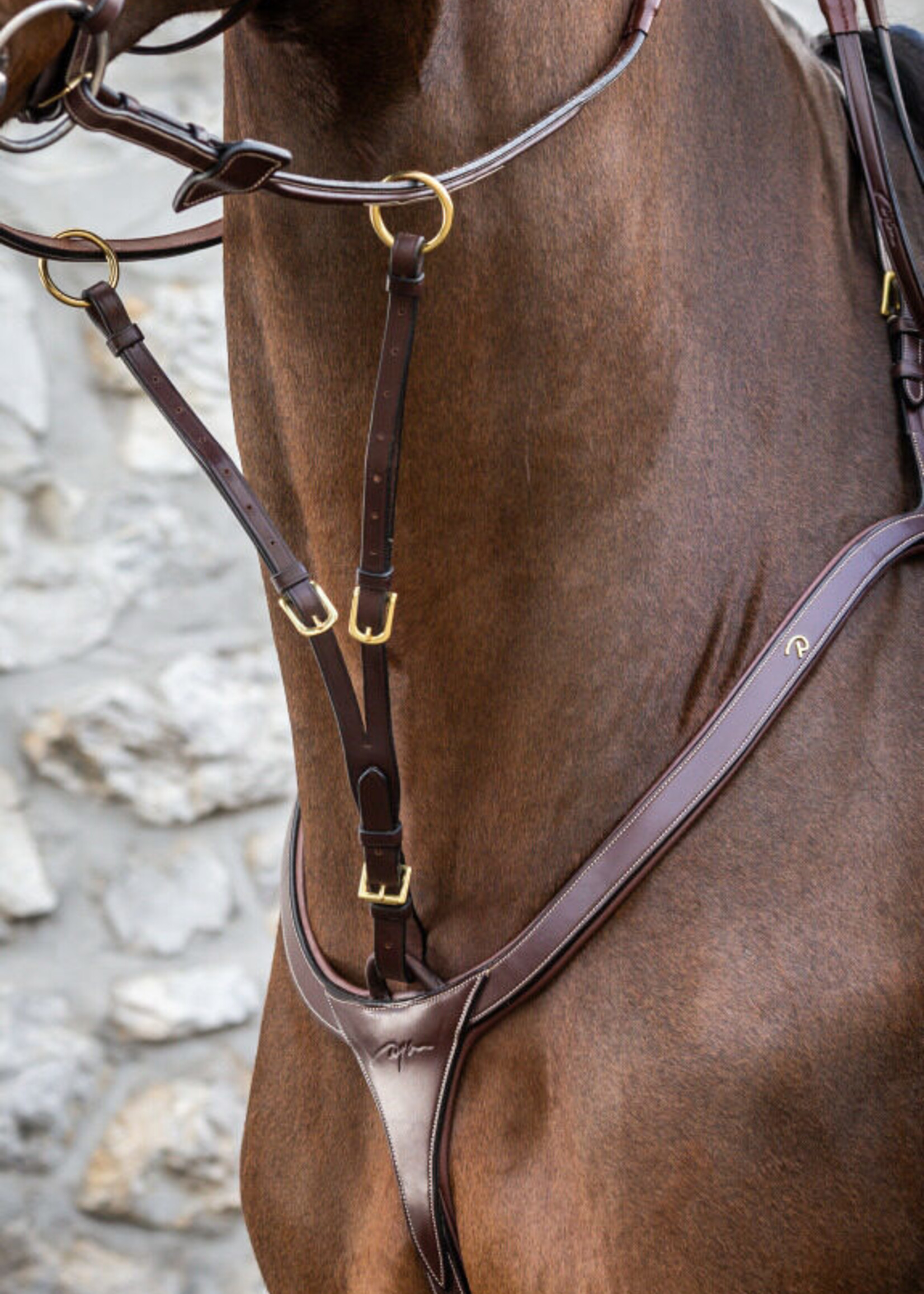 Dy'on Dyon Collection Running Martingale Attachment