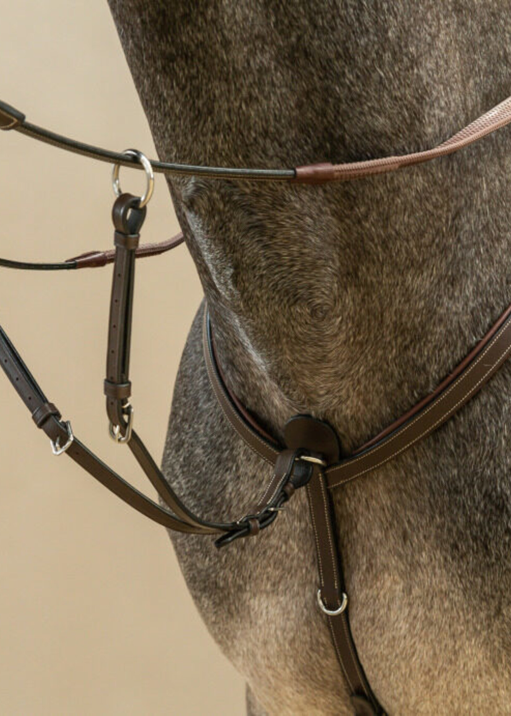 Dy'on Dyon Working Collection Breastplate with Running Martingale Attachment