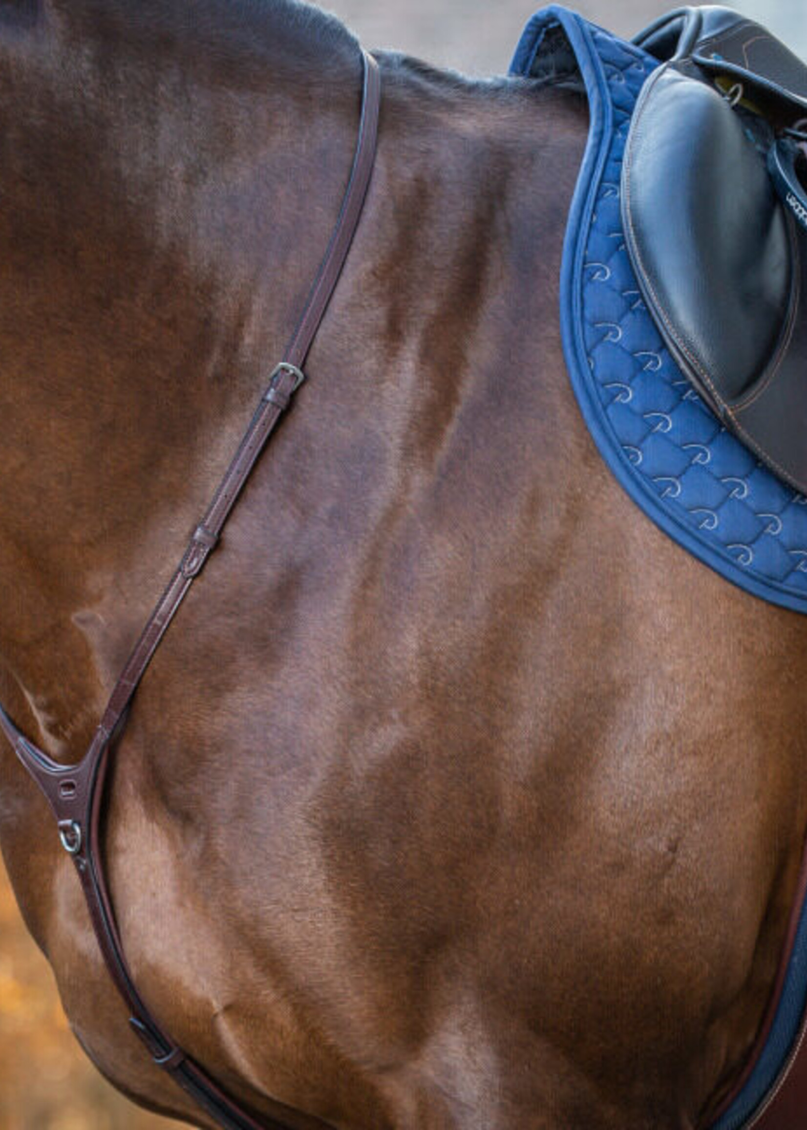 Dy'on Dyon New English Collection Yoke Martingale