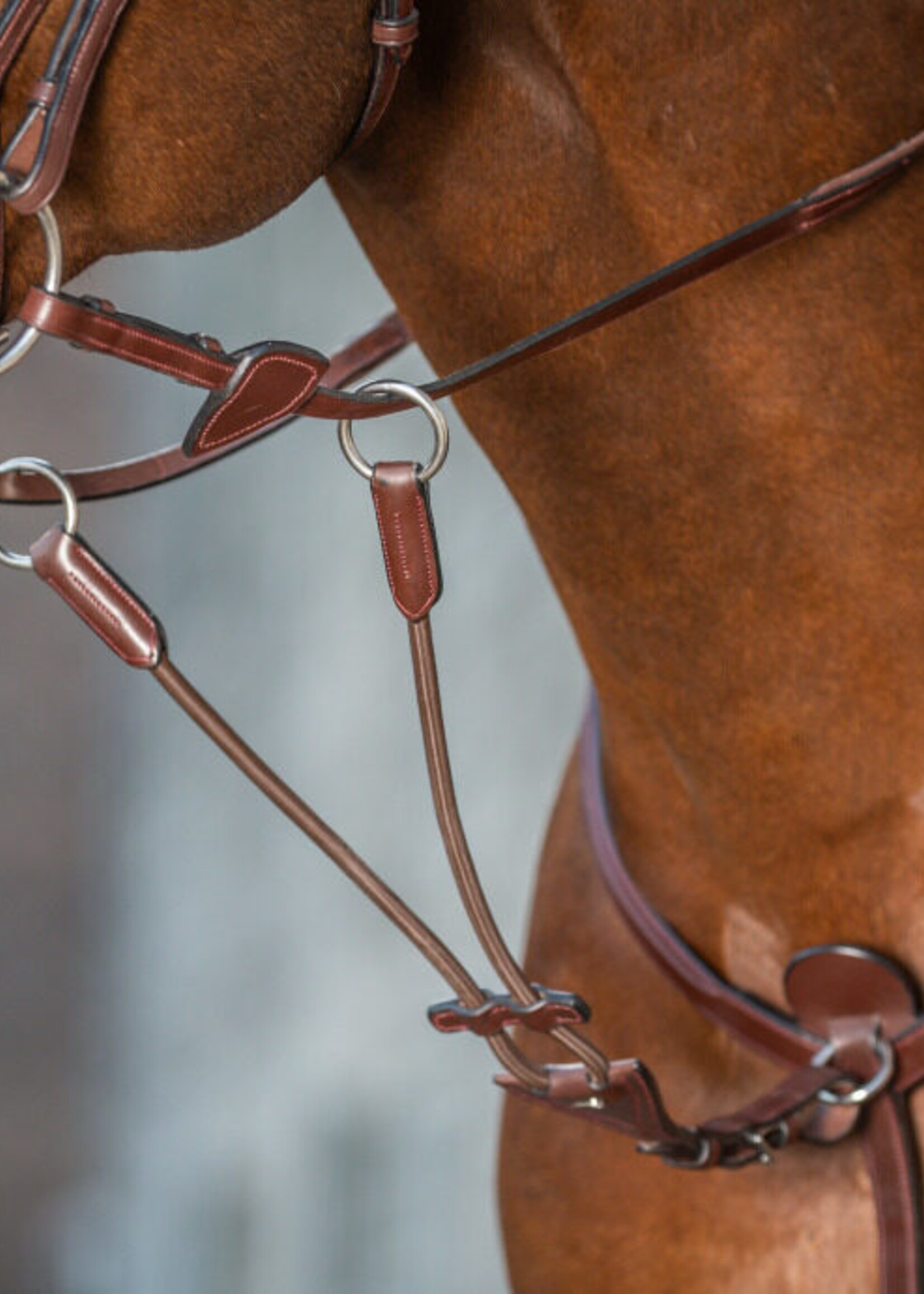 Dy'on Dyon New English Collection Elastic Running Martingale Attachment