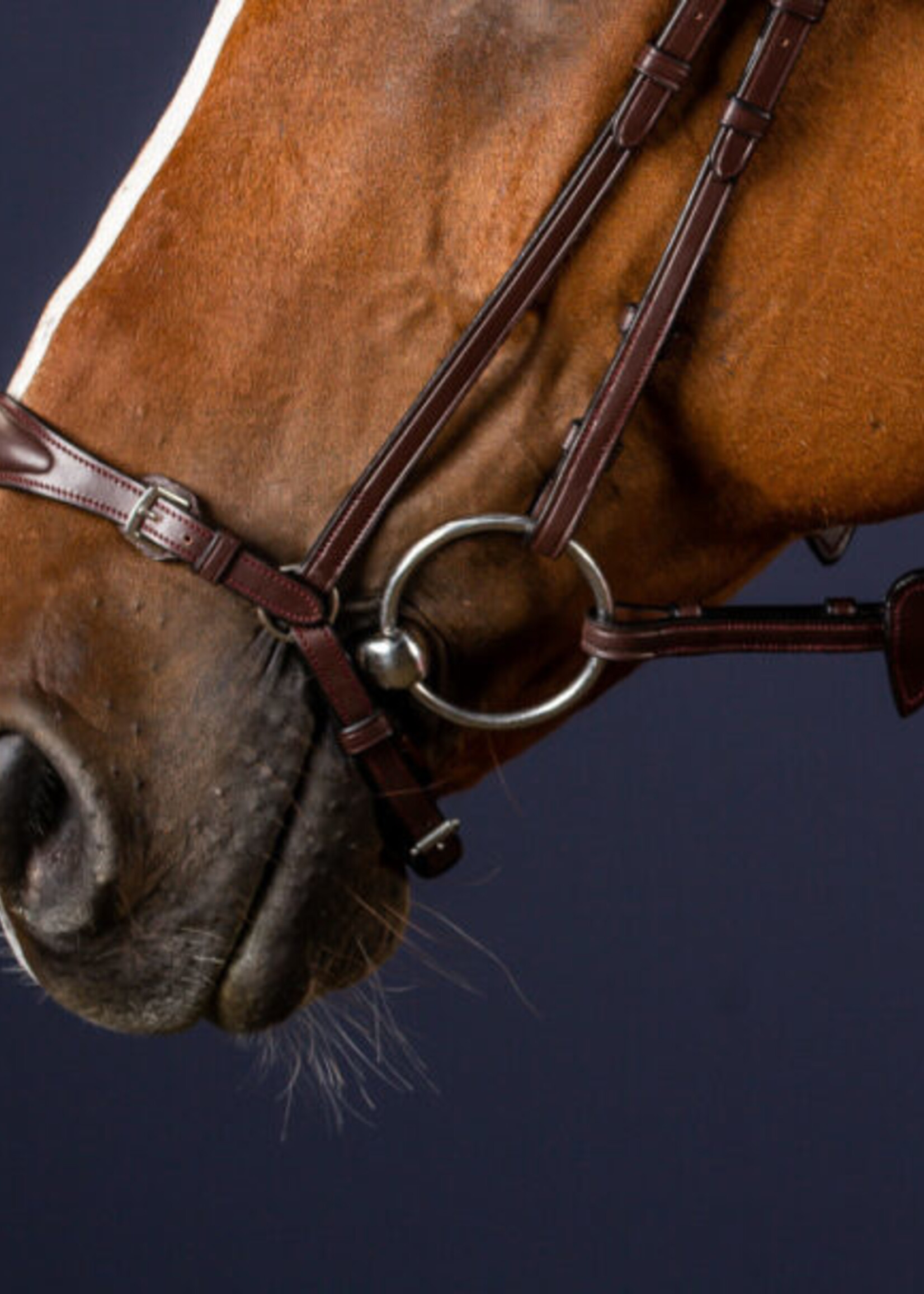 Dy'on Dyon New English Collection Drop Noseband