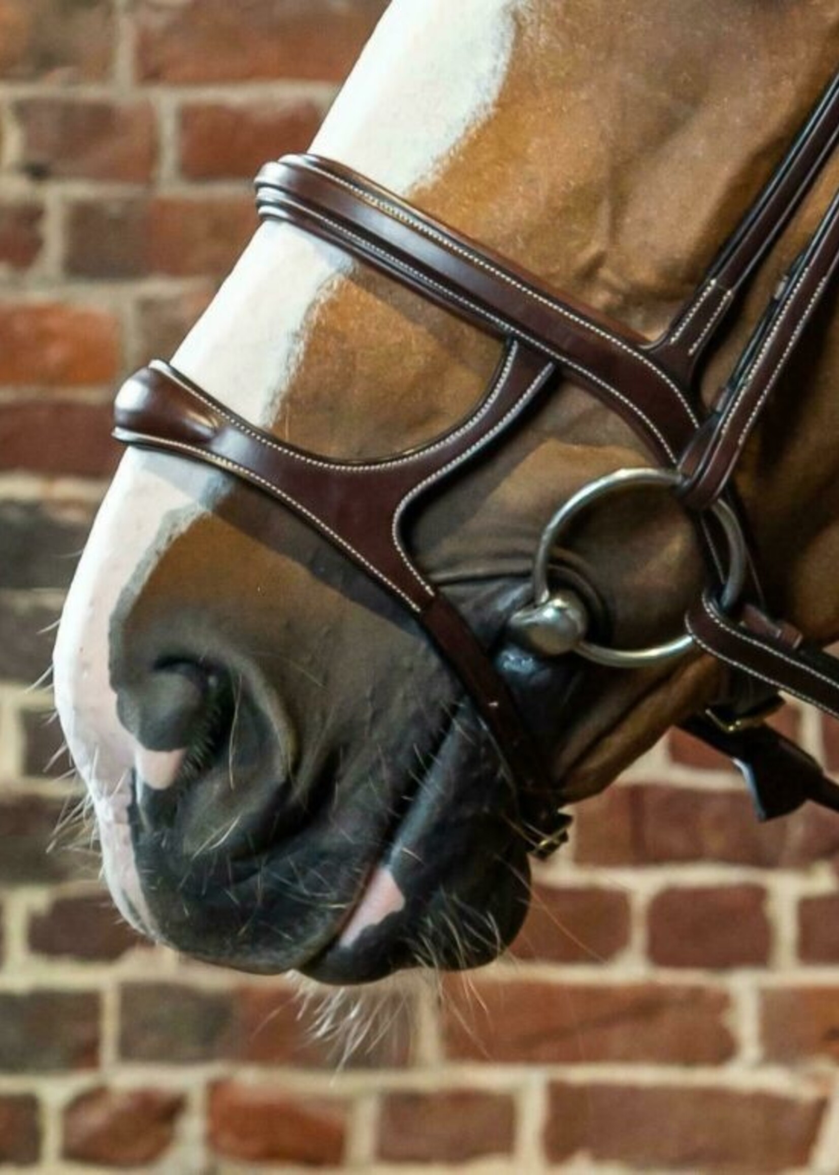 Dy'on Dyon Collection Double Noseband