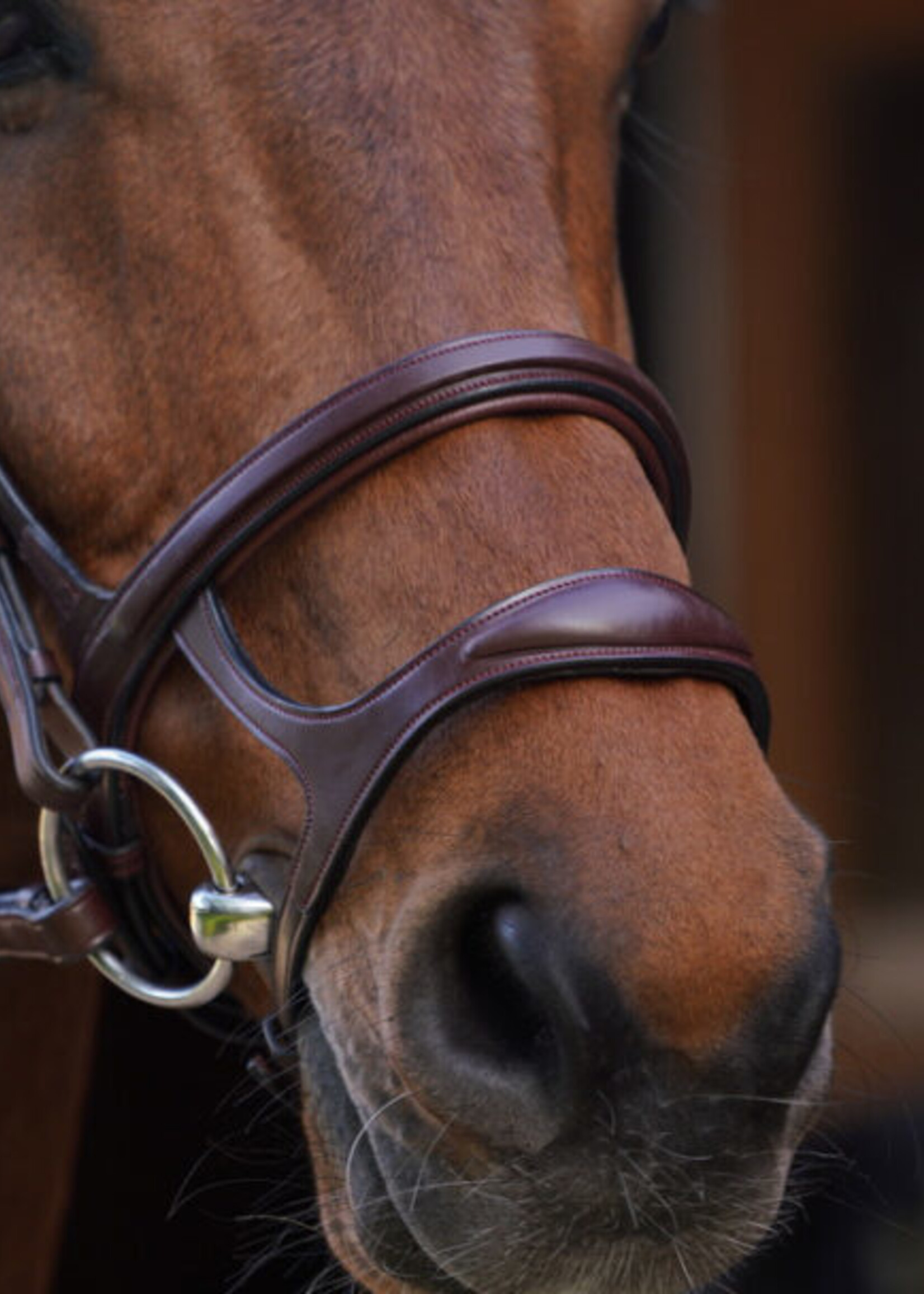Dy'on Dyon New English Collection Double Noseband