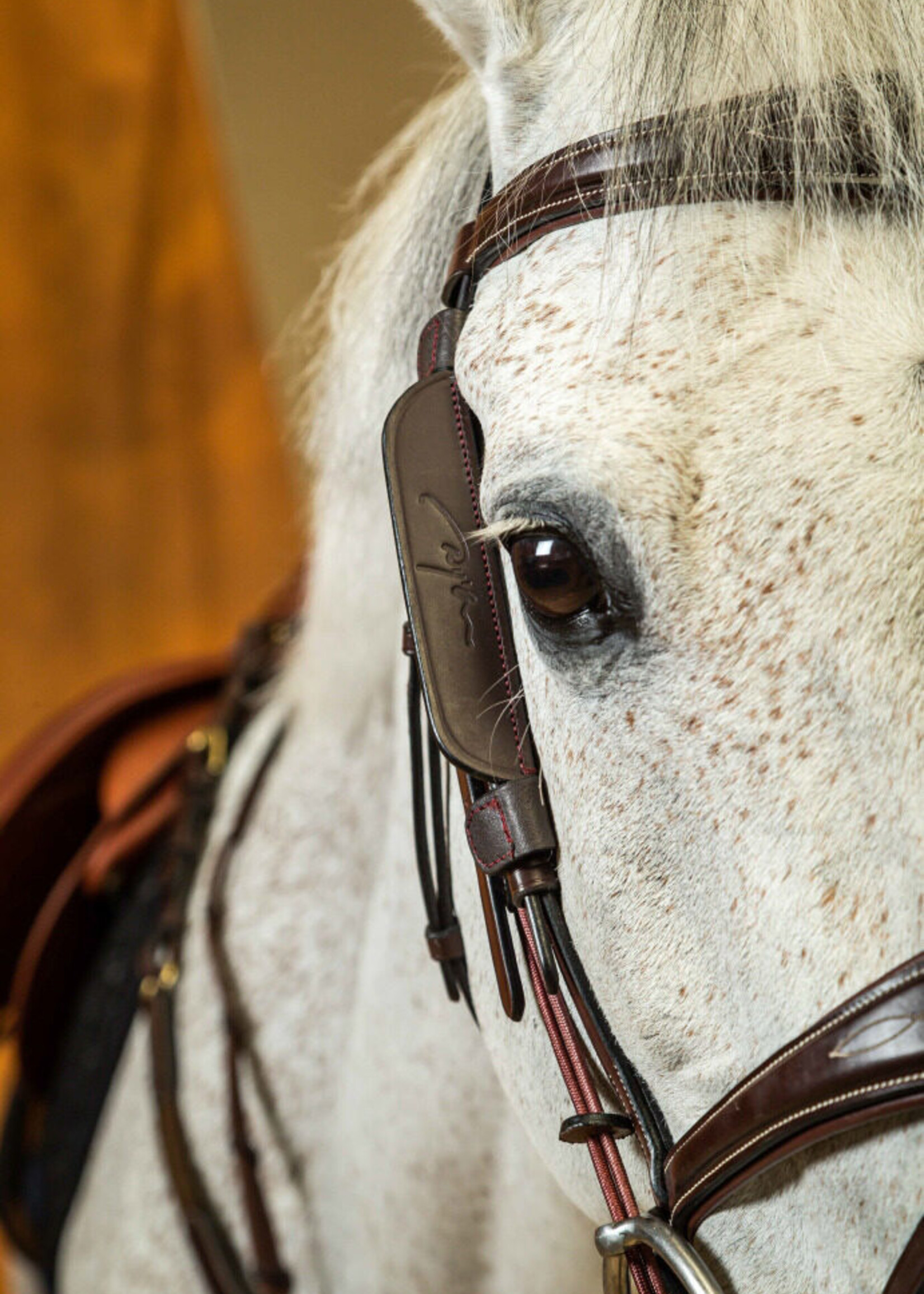 Dy'on Dyon Blinkers, Focus Cheek Pieces (Pair)