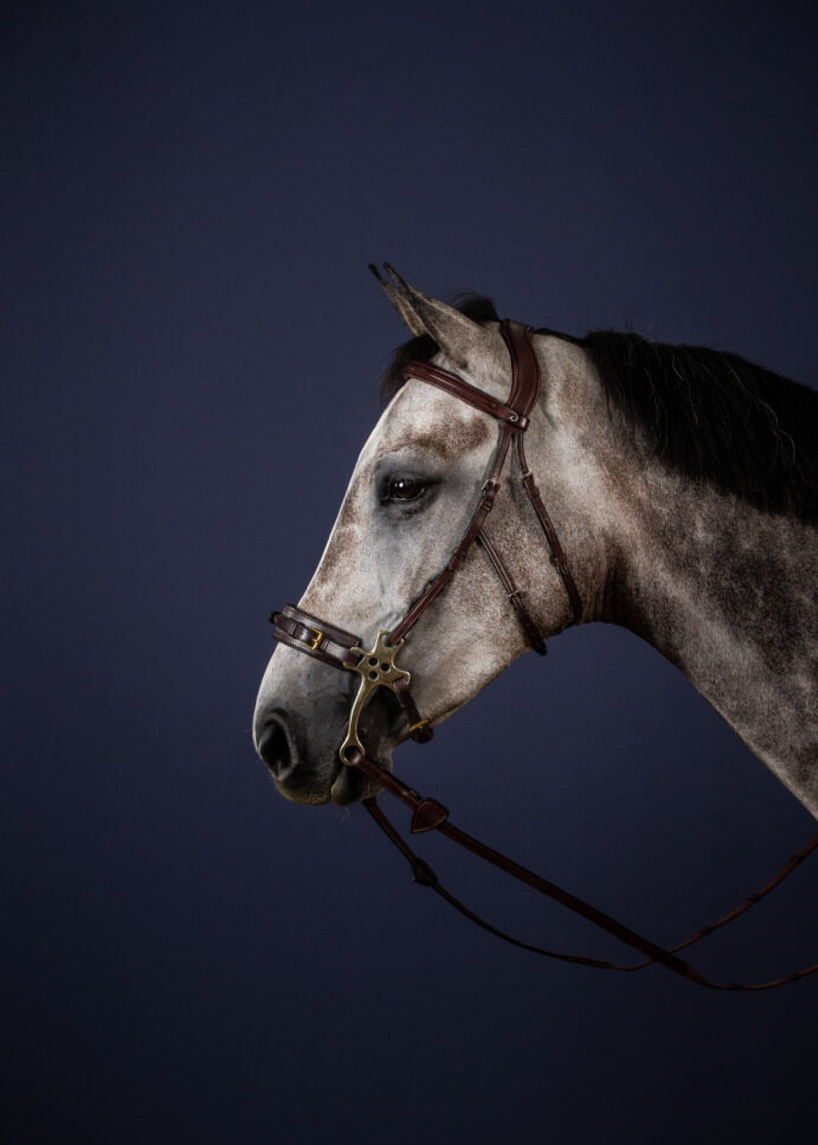 Dy'on Dyon New English Collection Hackamore Cheekpieces