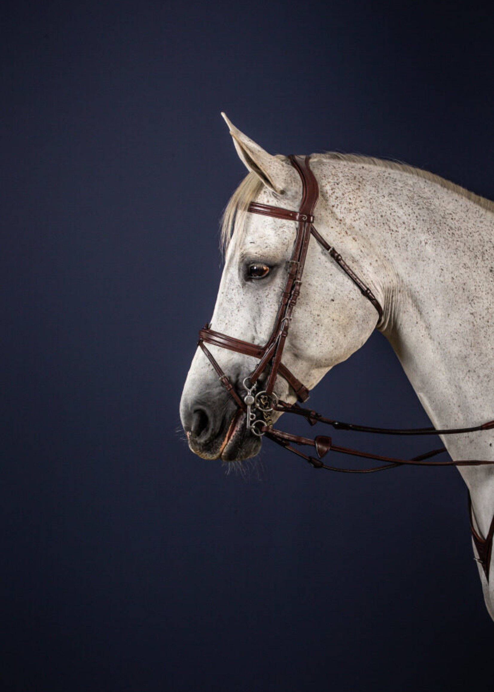 Dy'on Dy'on New English Collection Double Cheekpieces