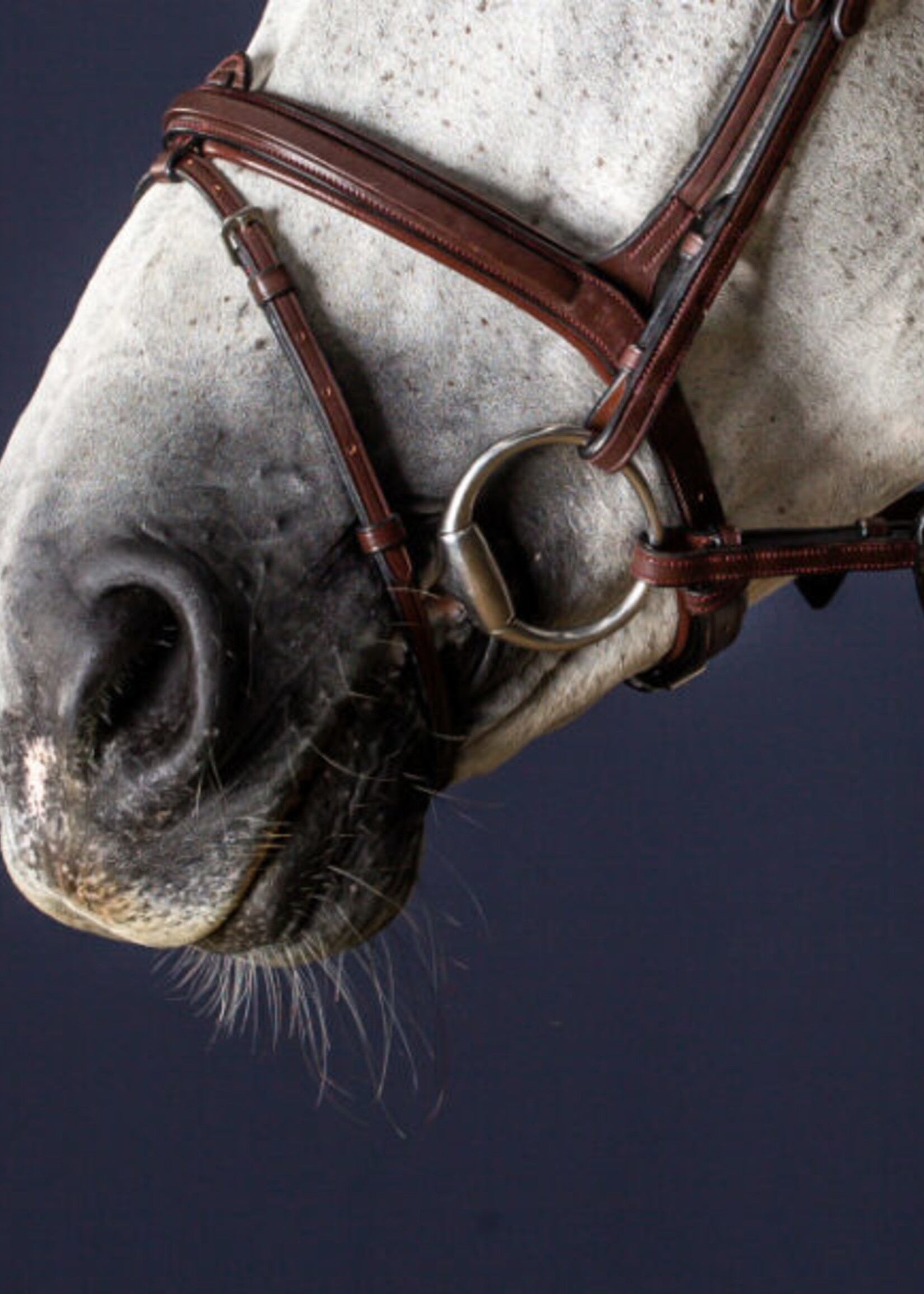 Dy'on Dy'on New English Collection Cavesson / Flash Noseband