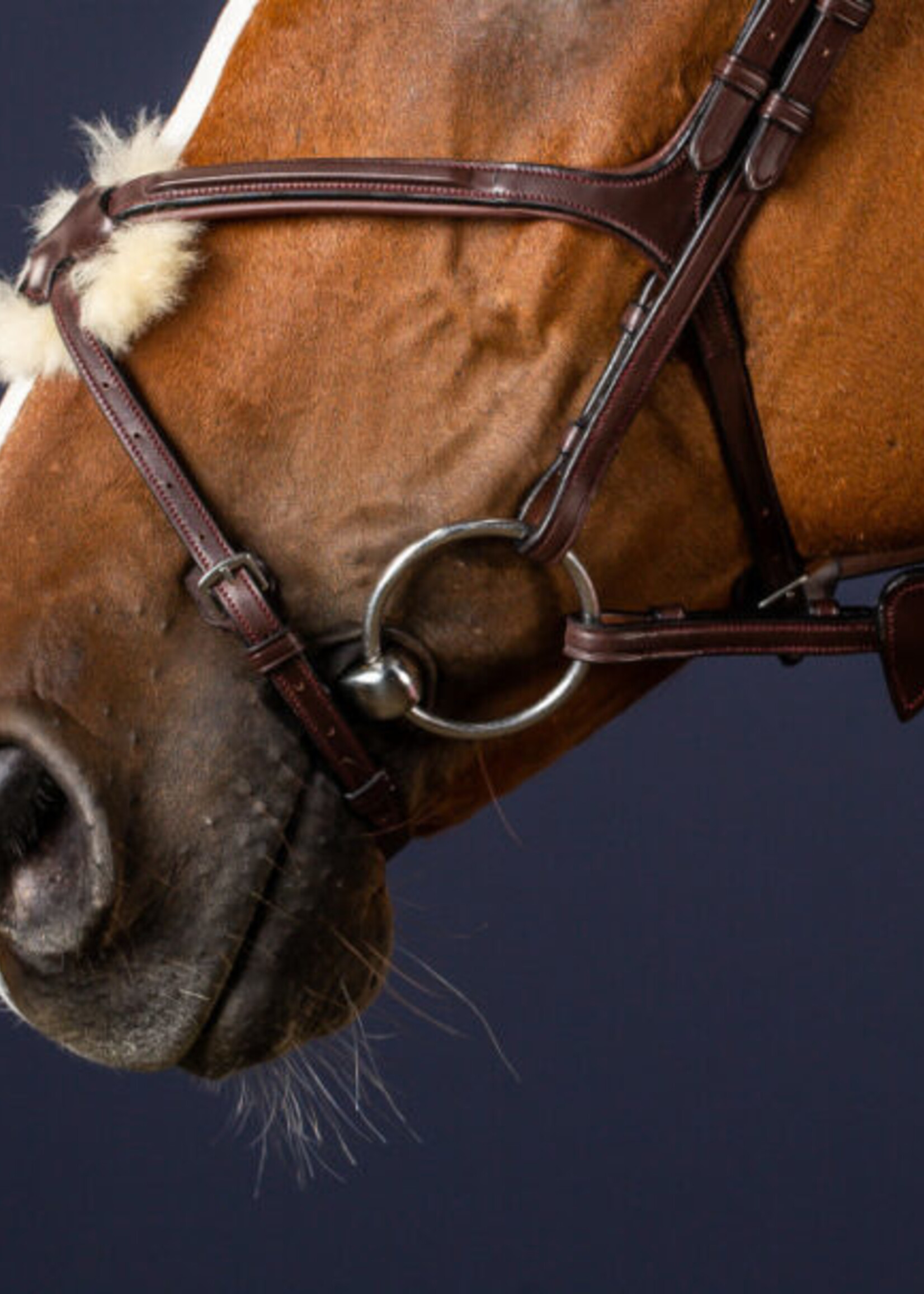 Dy'on Dyon New English Collection Grackle / Figure 8 Noseband