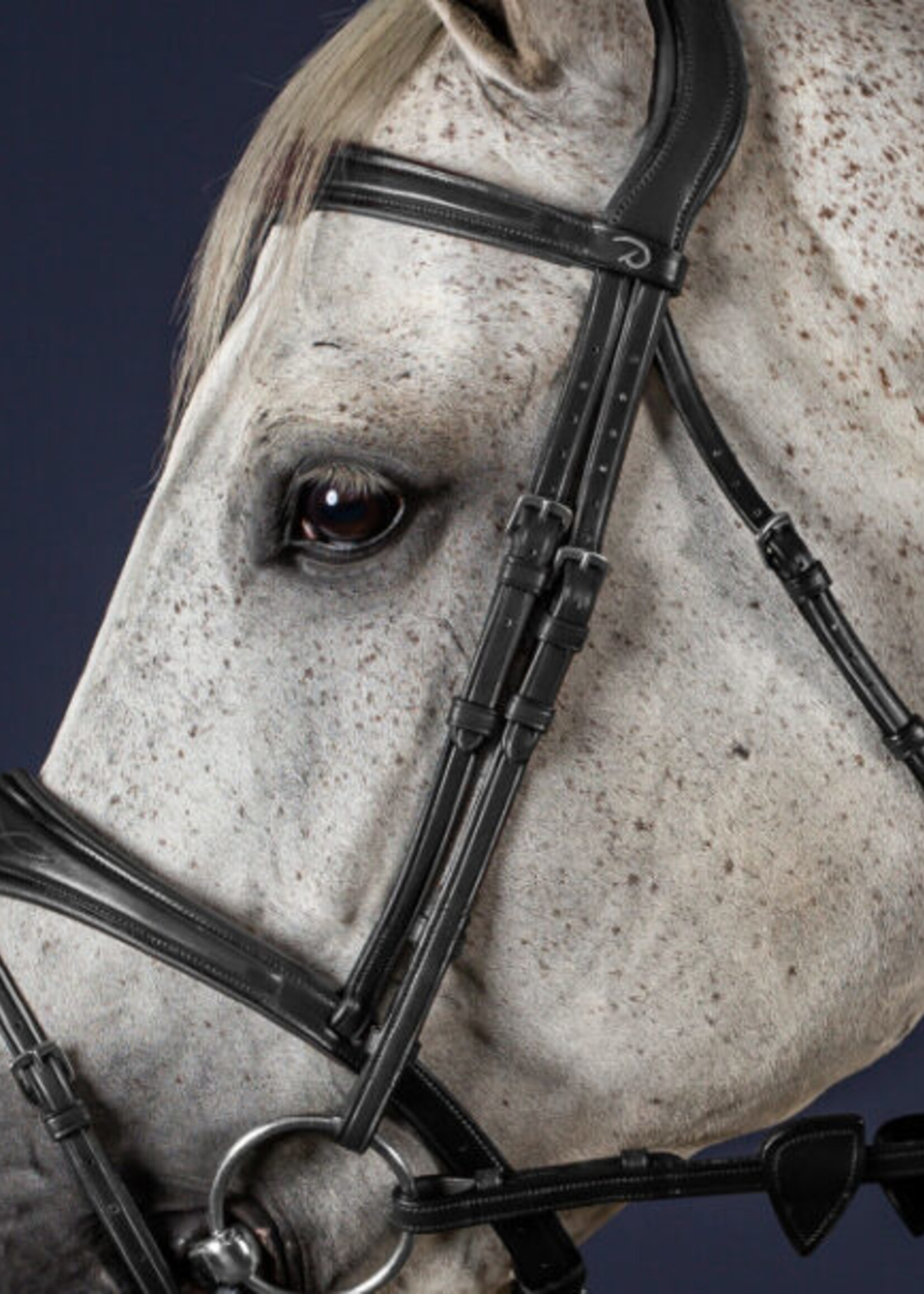 Dy'on Dyon New English Collection Cheekpieces