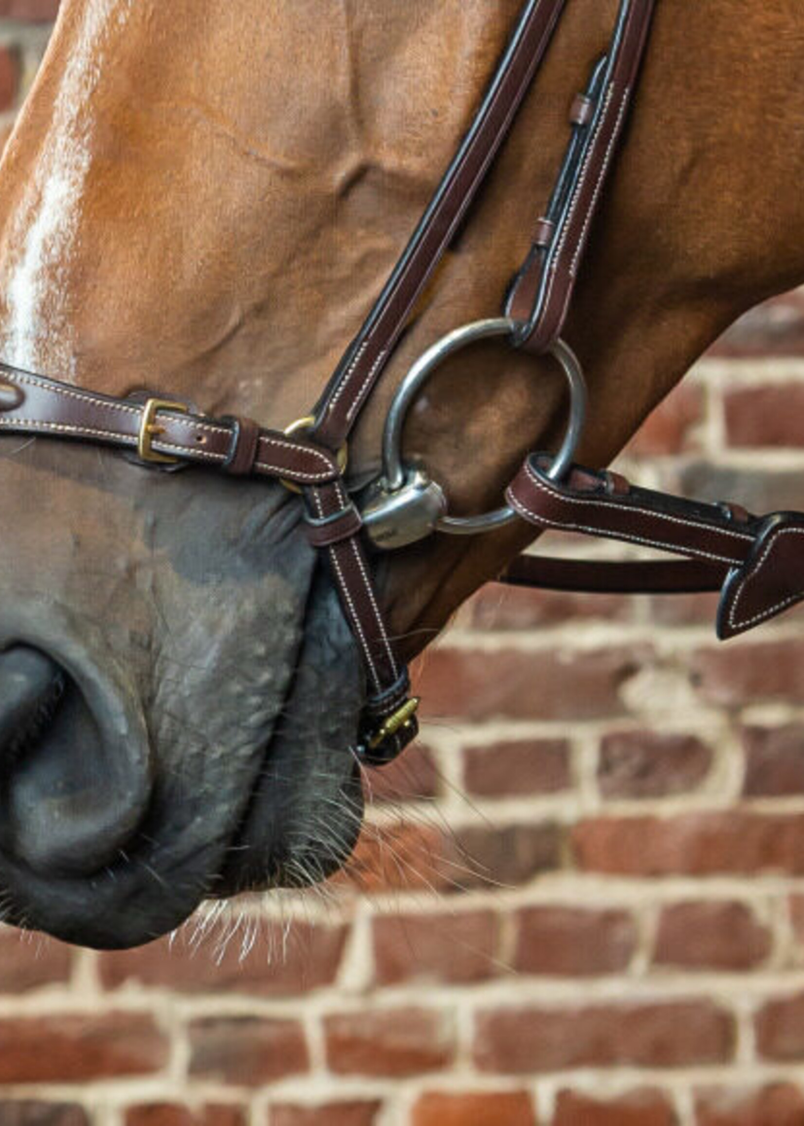 Dy'on Dyon Collection Drop Noseband