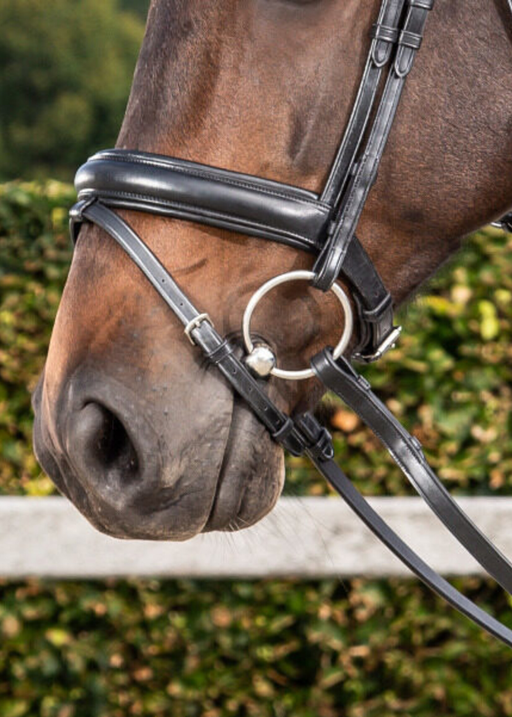 Dy'on Dyon Dressage Collection Medium Comfort Flash Noseband