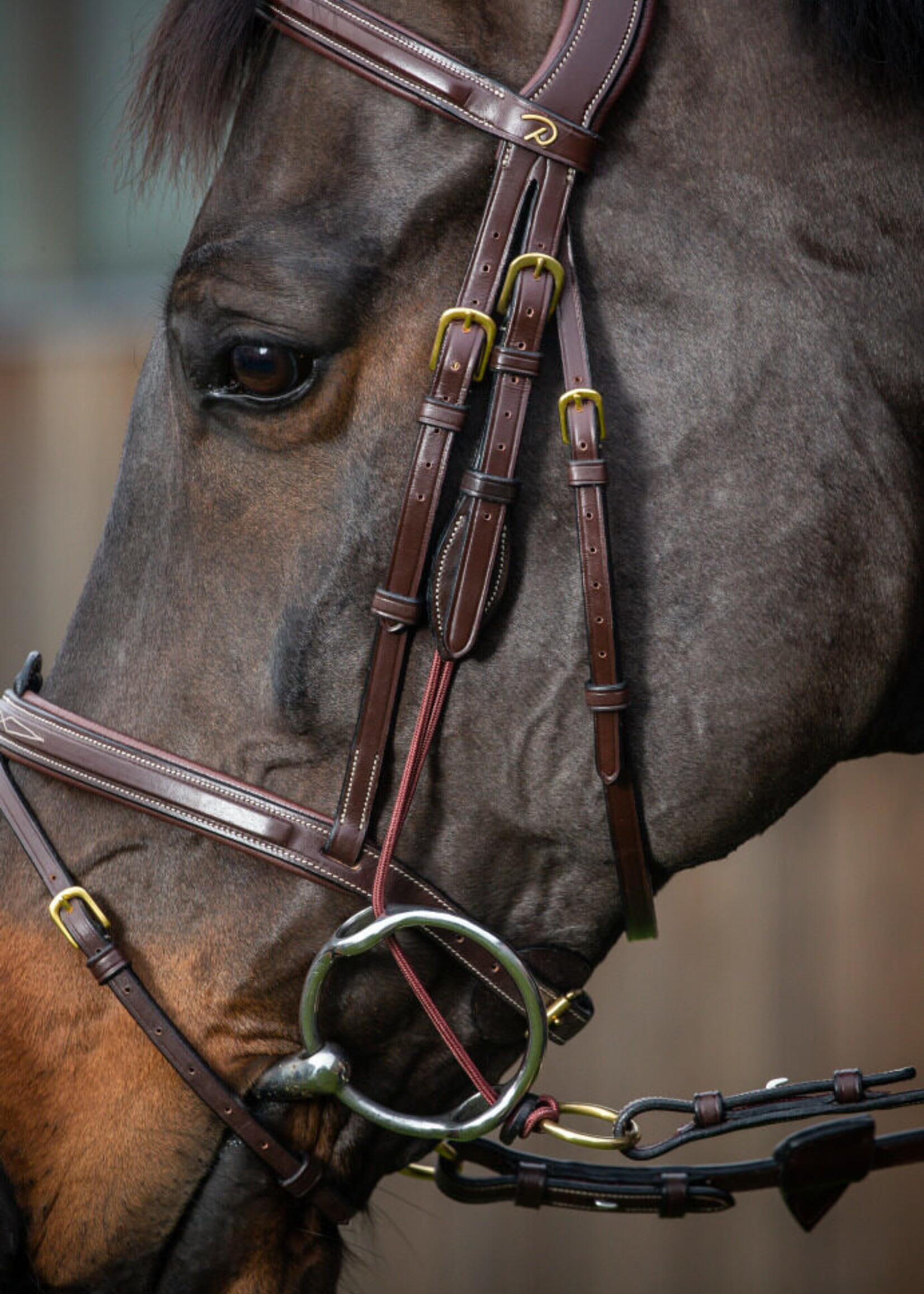 Dy'on Dyon Collection Rope Gag Cheeks with Removable Rings