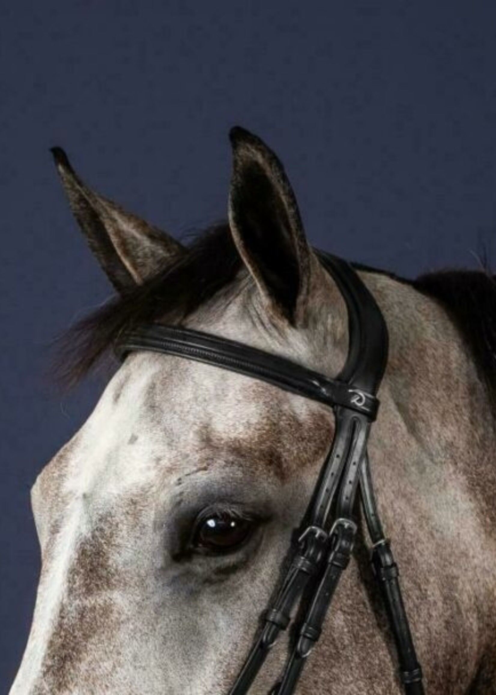 Dy'on Dyon New English Collection Browband