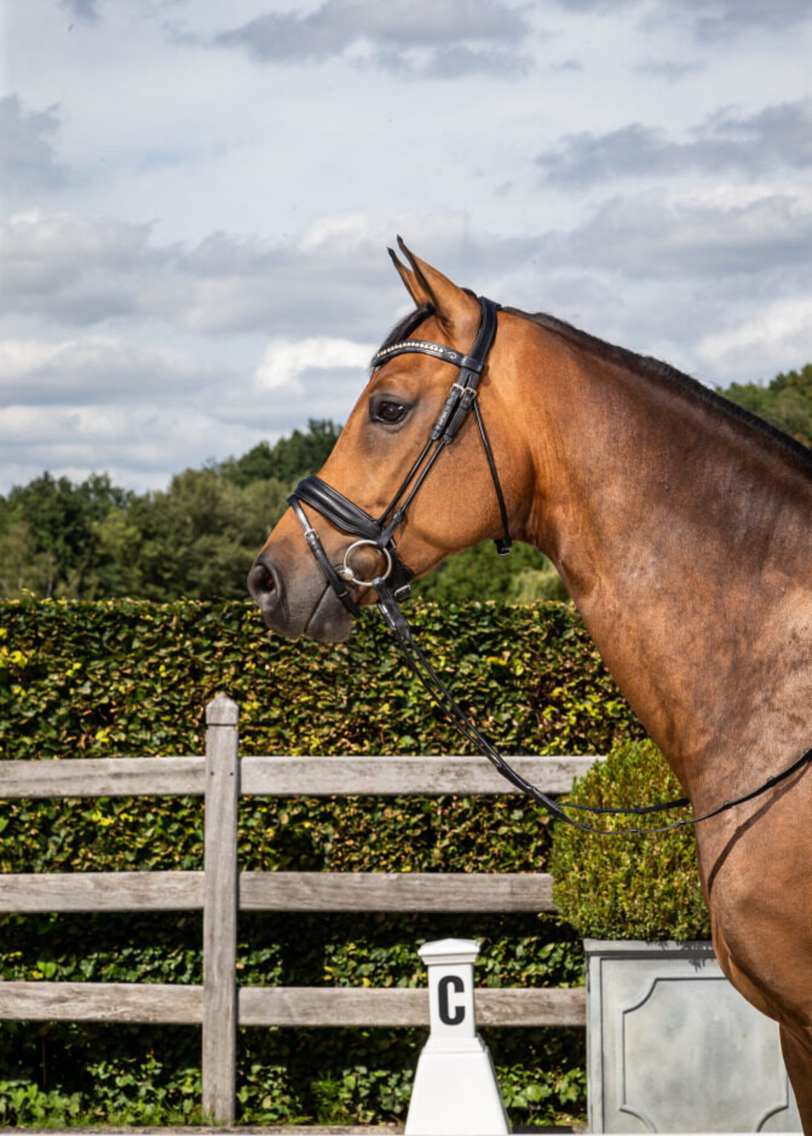 Dy'on Dyon Dressage Collection Medium Comfort Noseband Flash Bridle