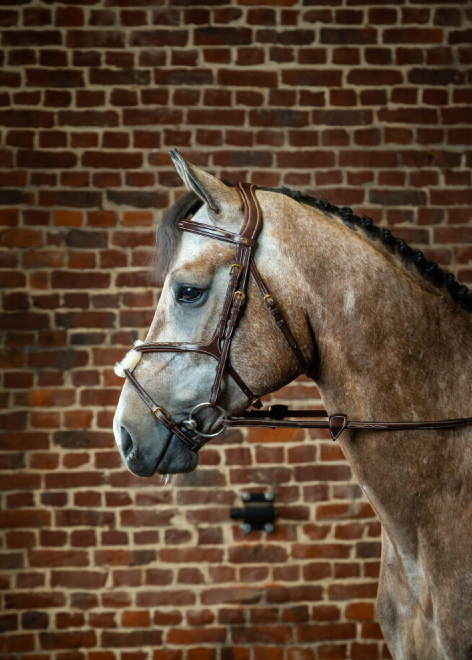 Dy'on Dyon Collection Grackle / Figure 8 Noseband Bridle