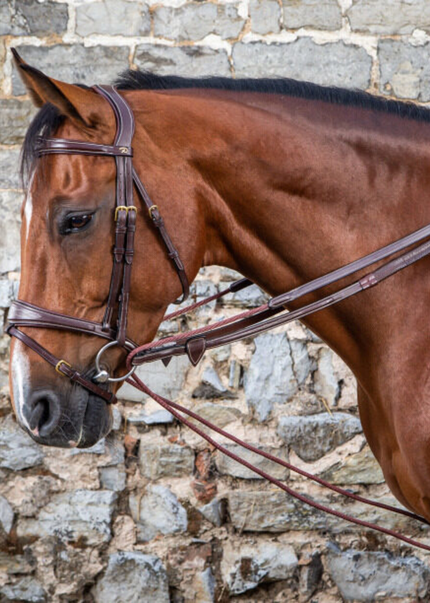 Dy'on Dyon Collection Half Rope Draw Reins