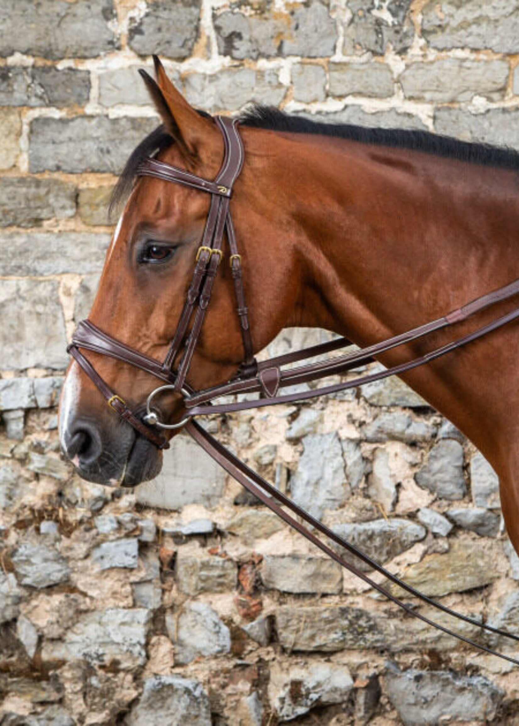 Dy'on Dyon Collection Leather Draw Reins
