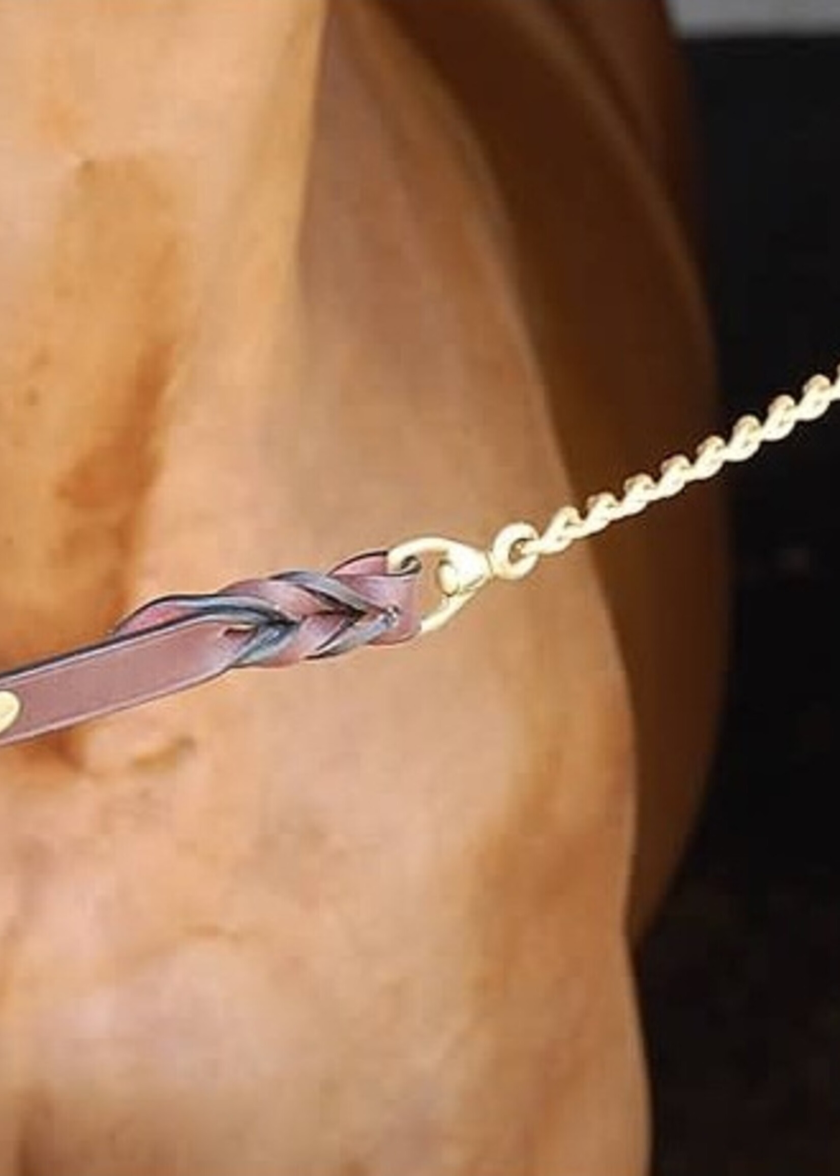 Dy'on Dyon Leather Lead Rein with Stallion Chain