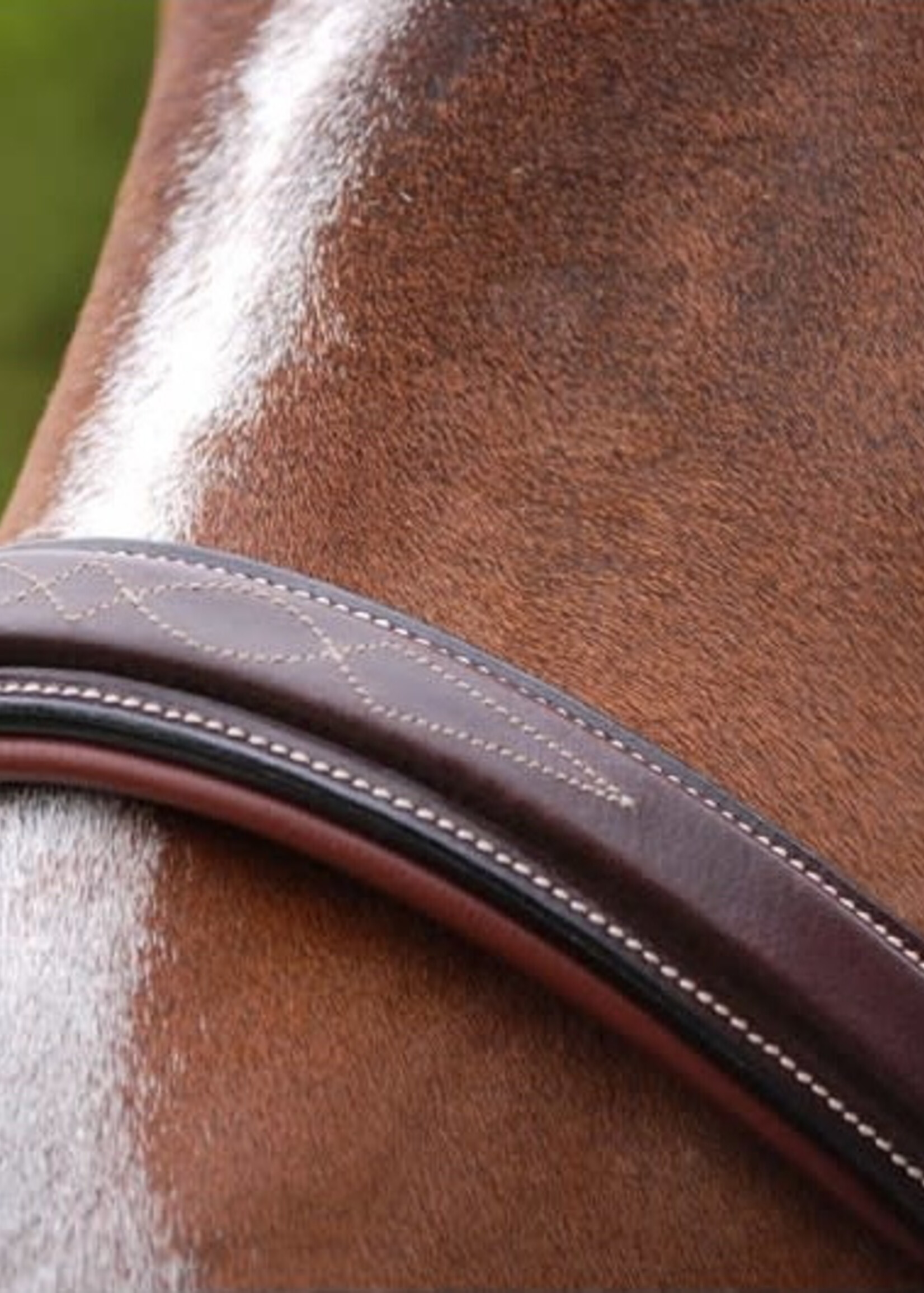 Dy'on Dyon Working Collection Fancy Leather Headcollar