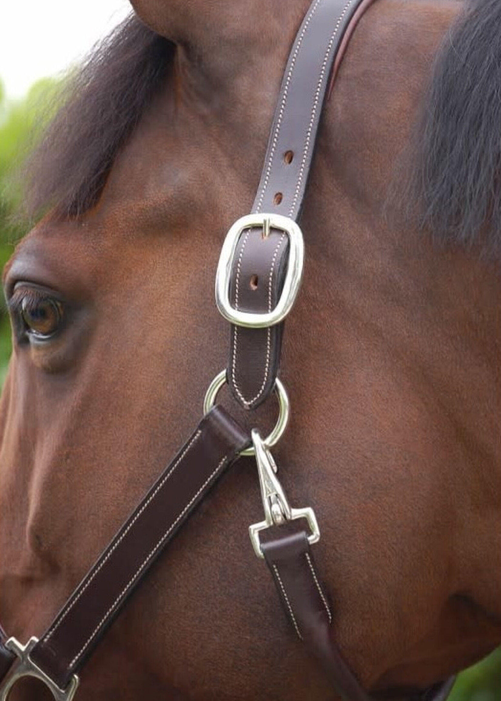 Dy'on Dyon Working Collection Fancy Leather Headcollar