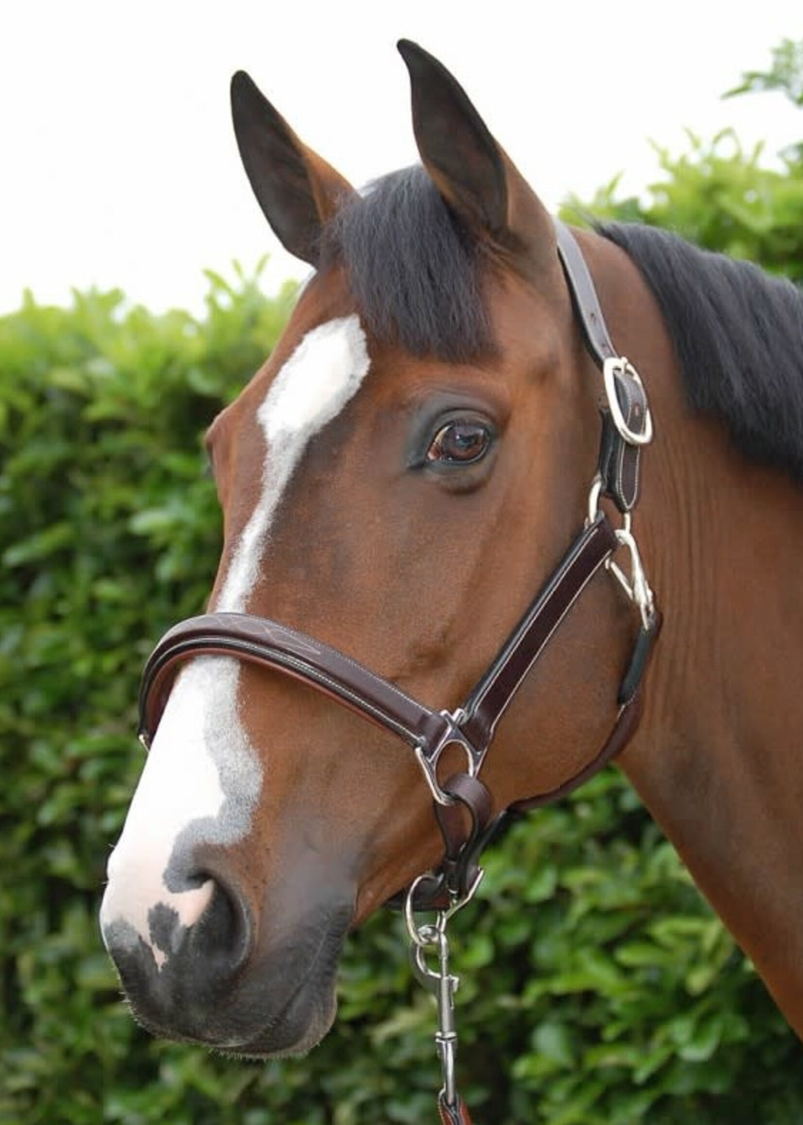 Dy'on Dyon Working Collection Fancy Leather Headcollar