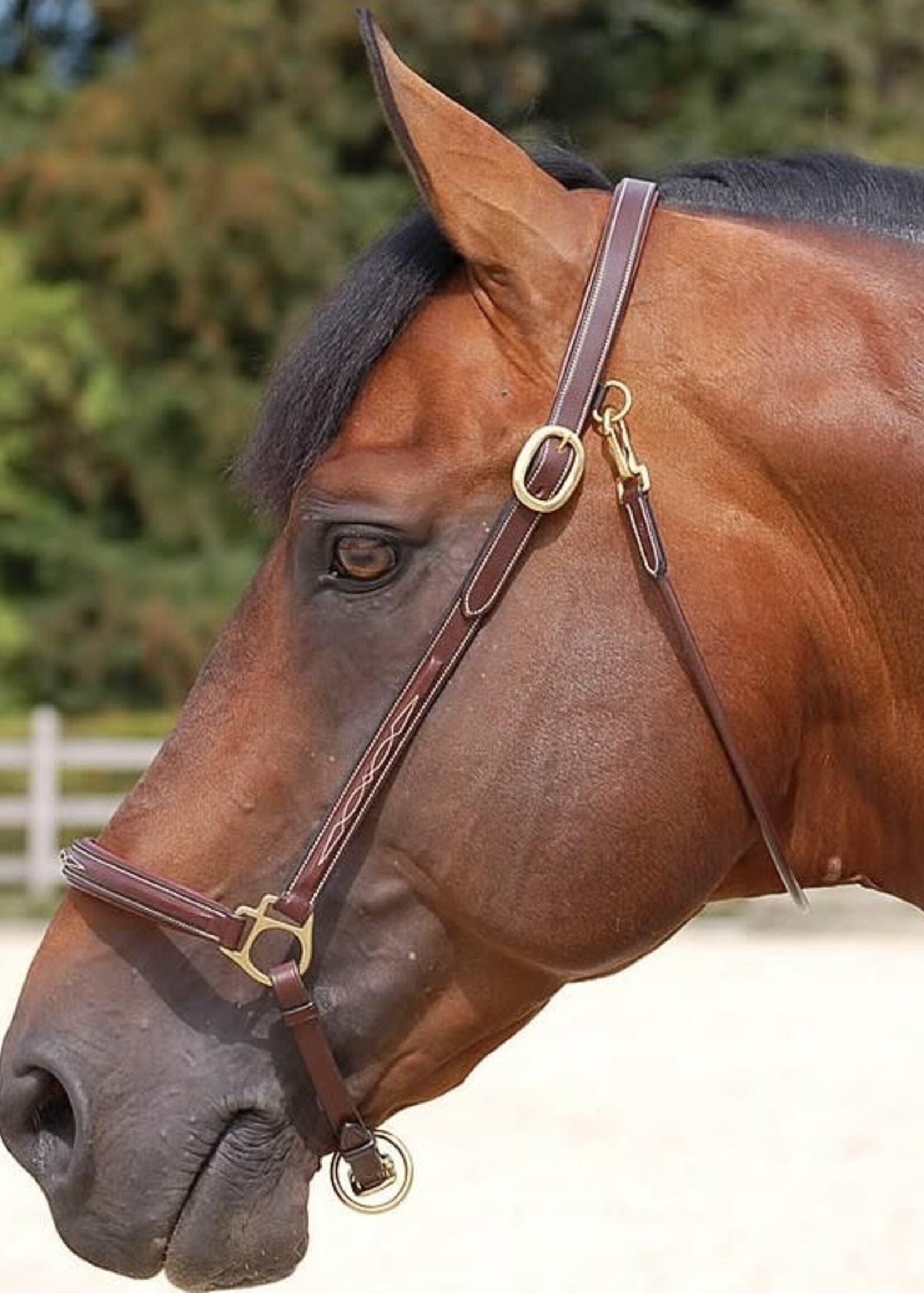 Dy'on Dyon Collection Fancy Grooming Headcollar