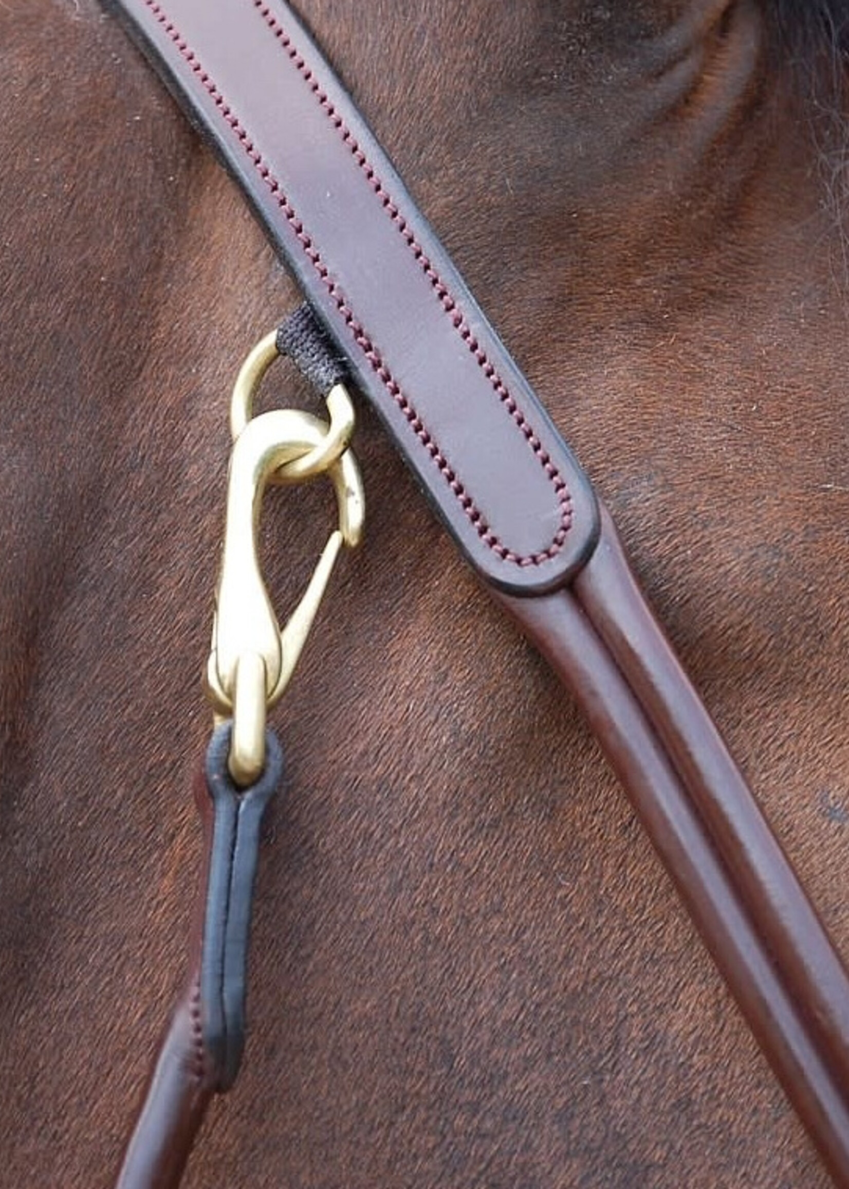 Dy'on Dyon Rolled Leather Grooming Headcollar