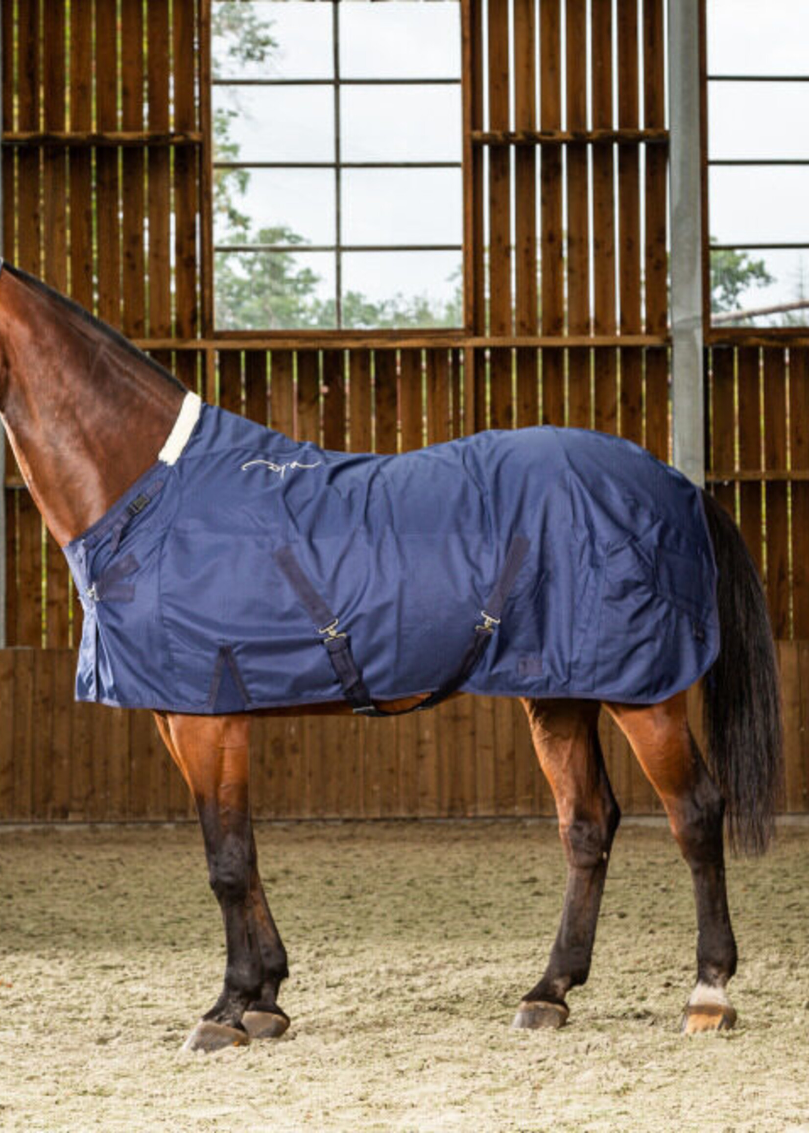 Dy'on Dyon Summer Stable  Sheet with Rip Stop Outer